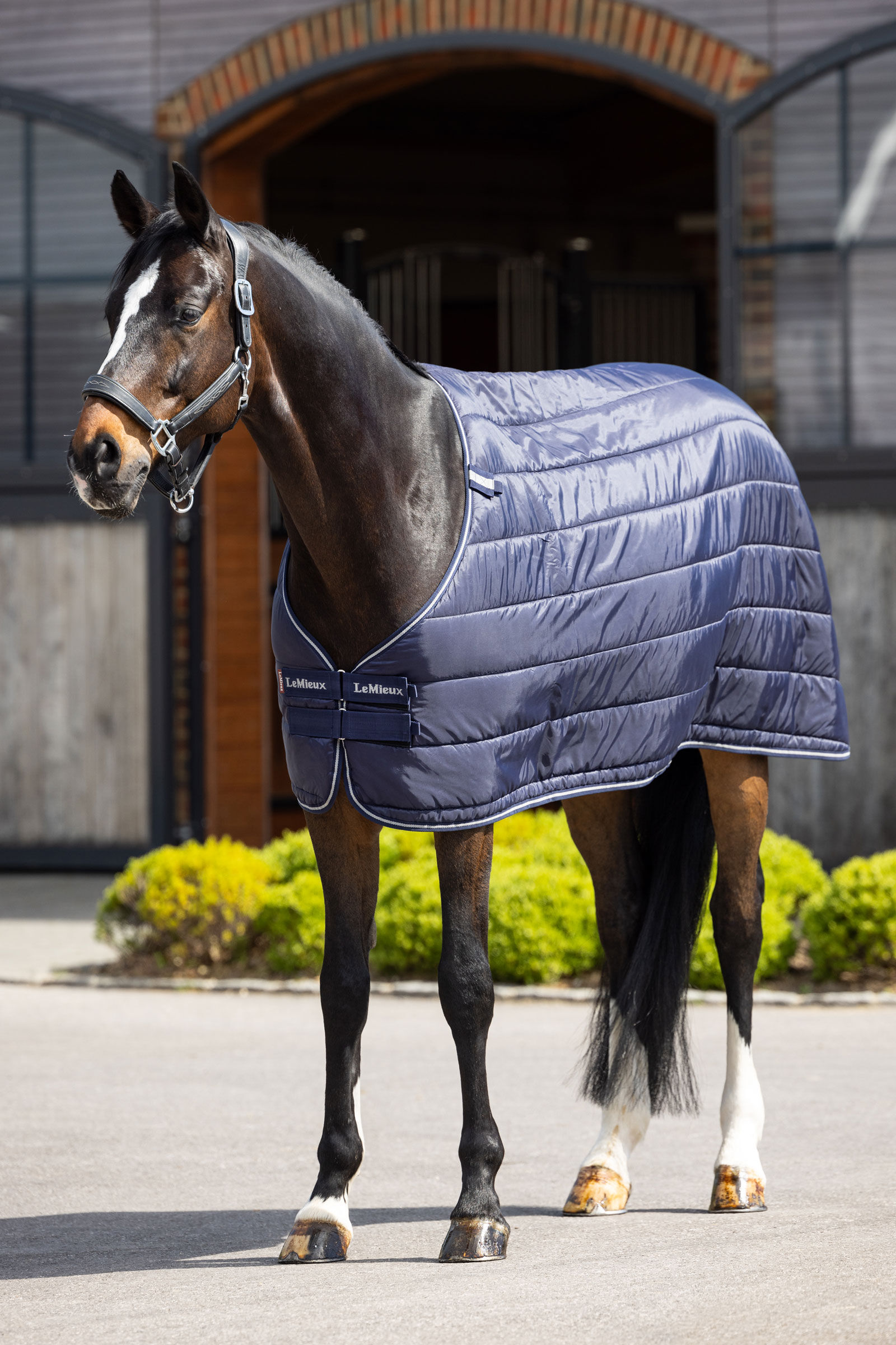 LeMieux Rug Liner 200g