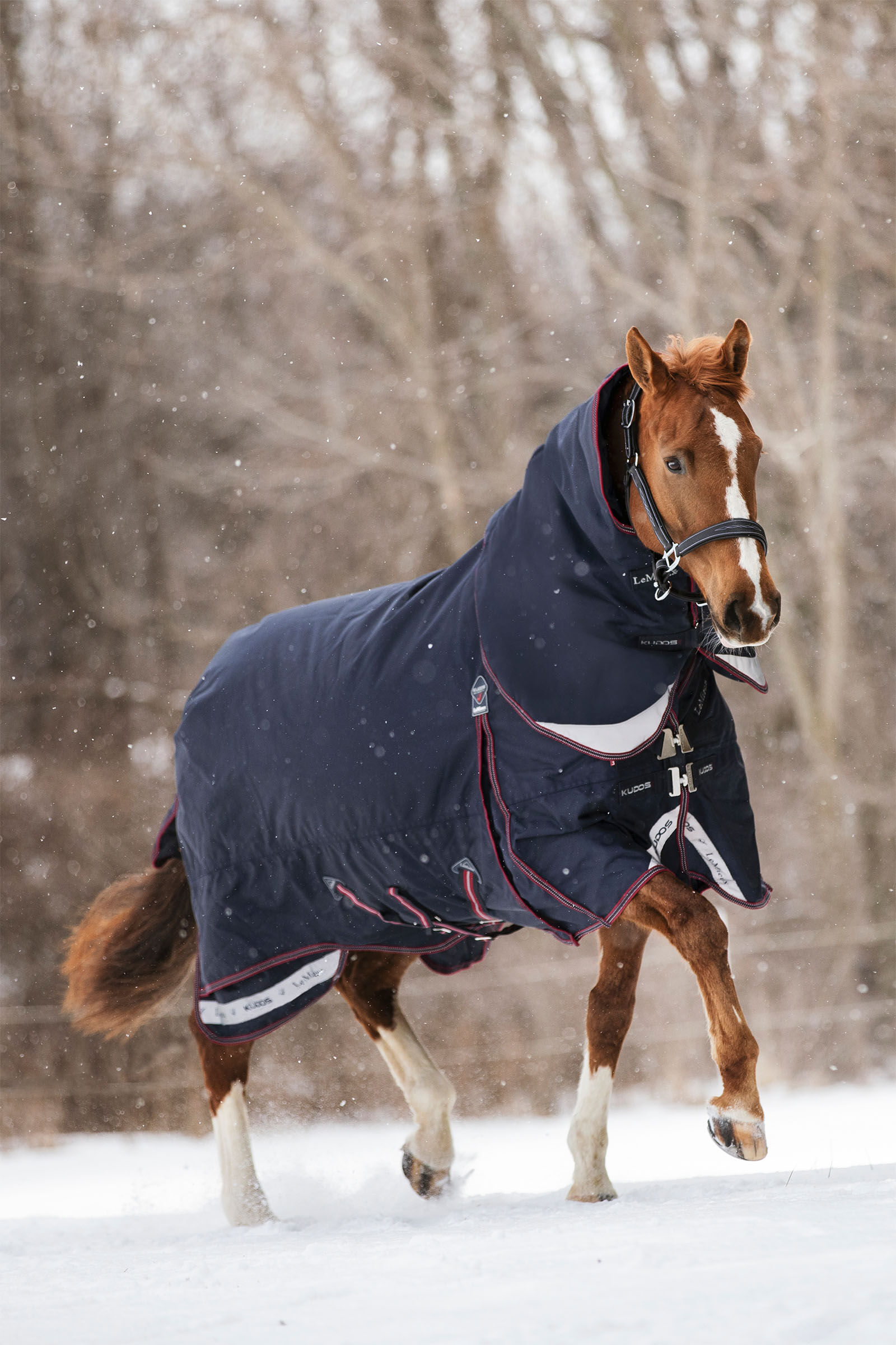 LeMieux Winterdecken