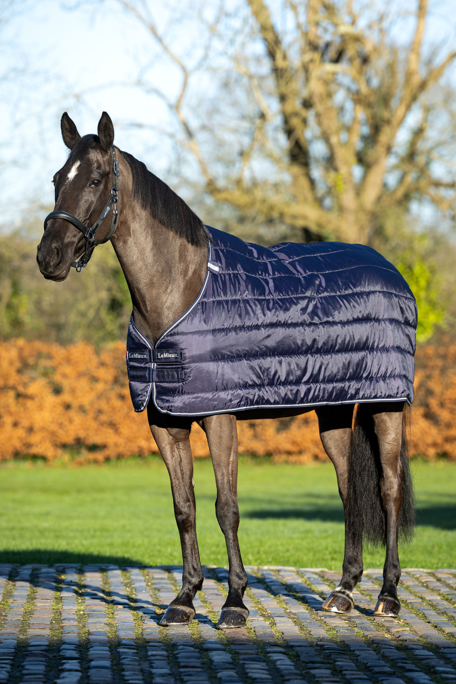 LeMieux Stable Rugs