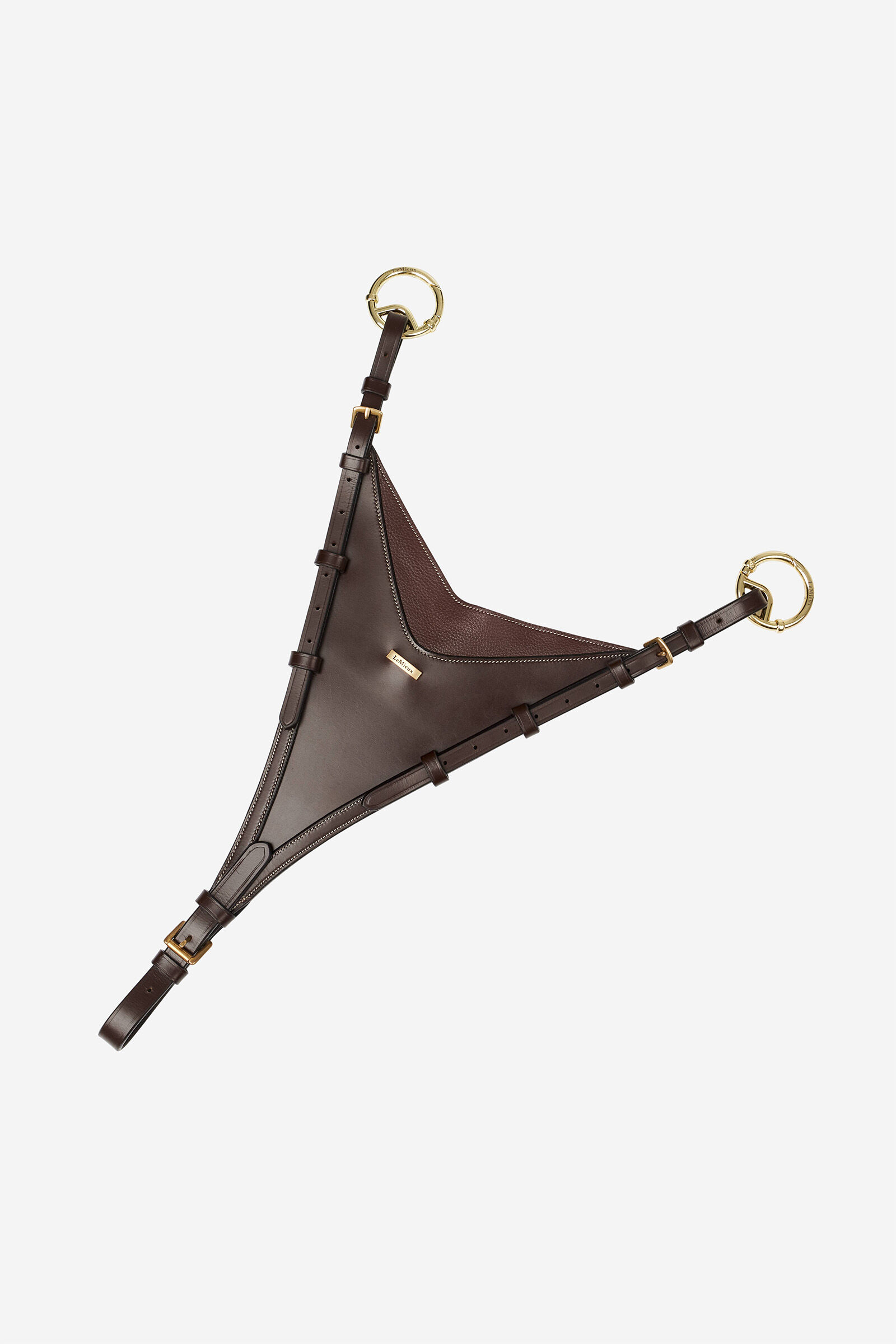 Fourche de martingale LeMieux