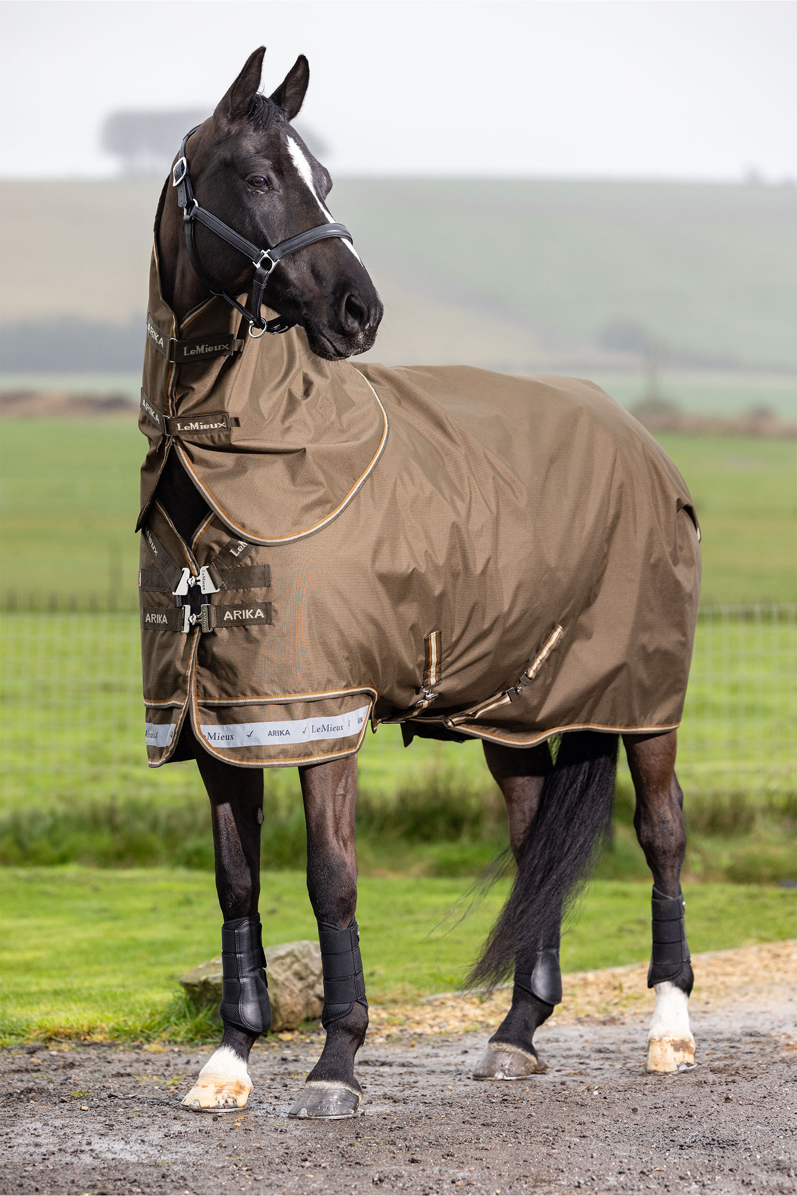 LeMieux Arika Ripstop Turnout Rug 0g