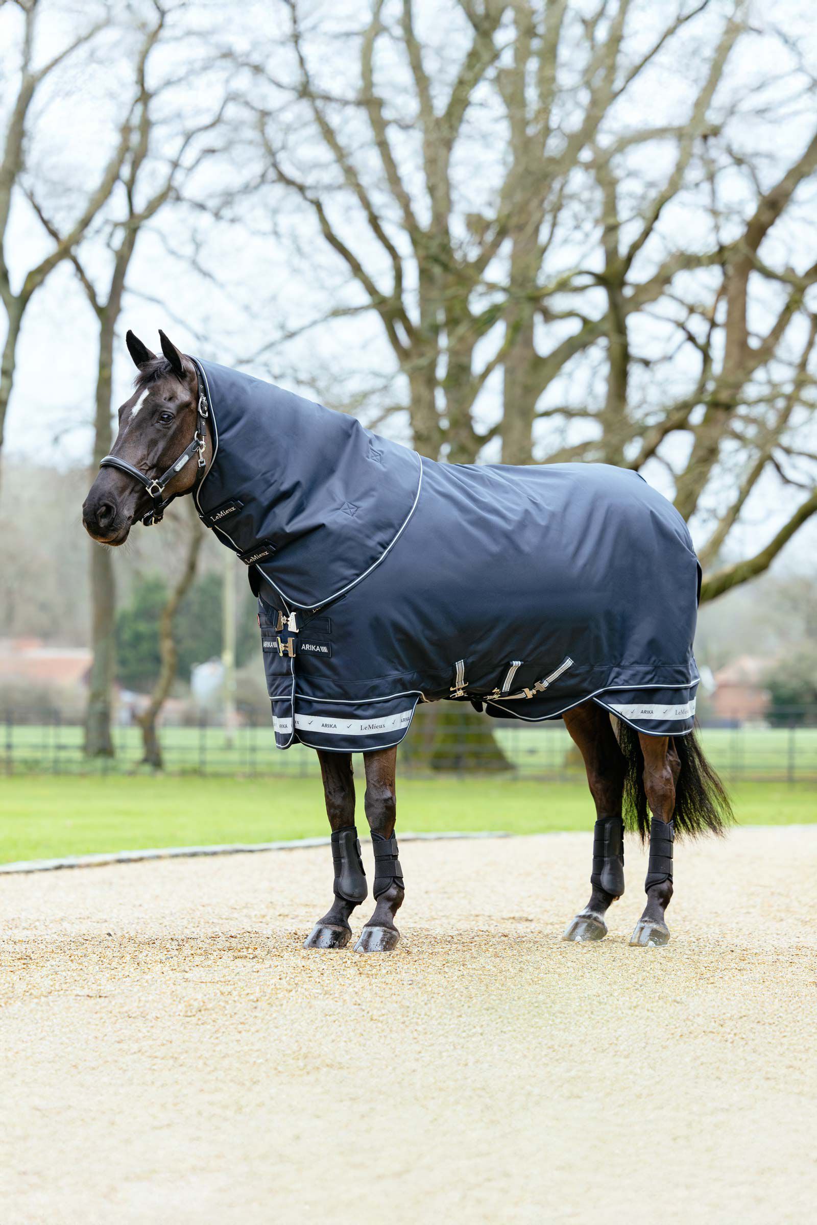 LeMieux Arika Storm-Tek Turnout Rug With Detachable Neck, 100 g