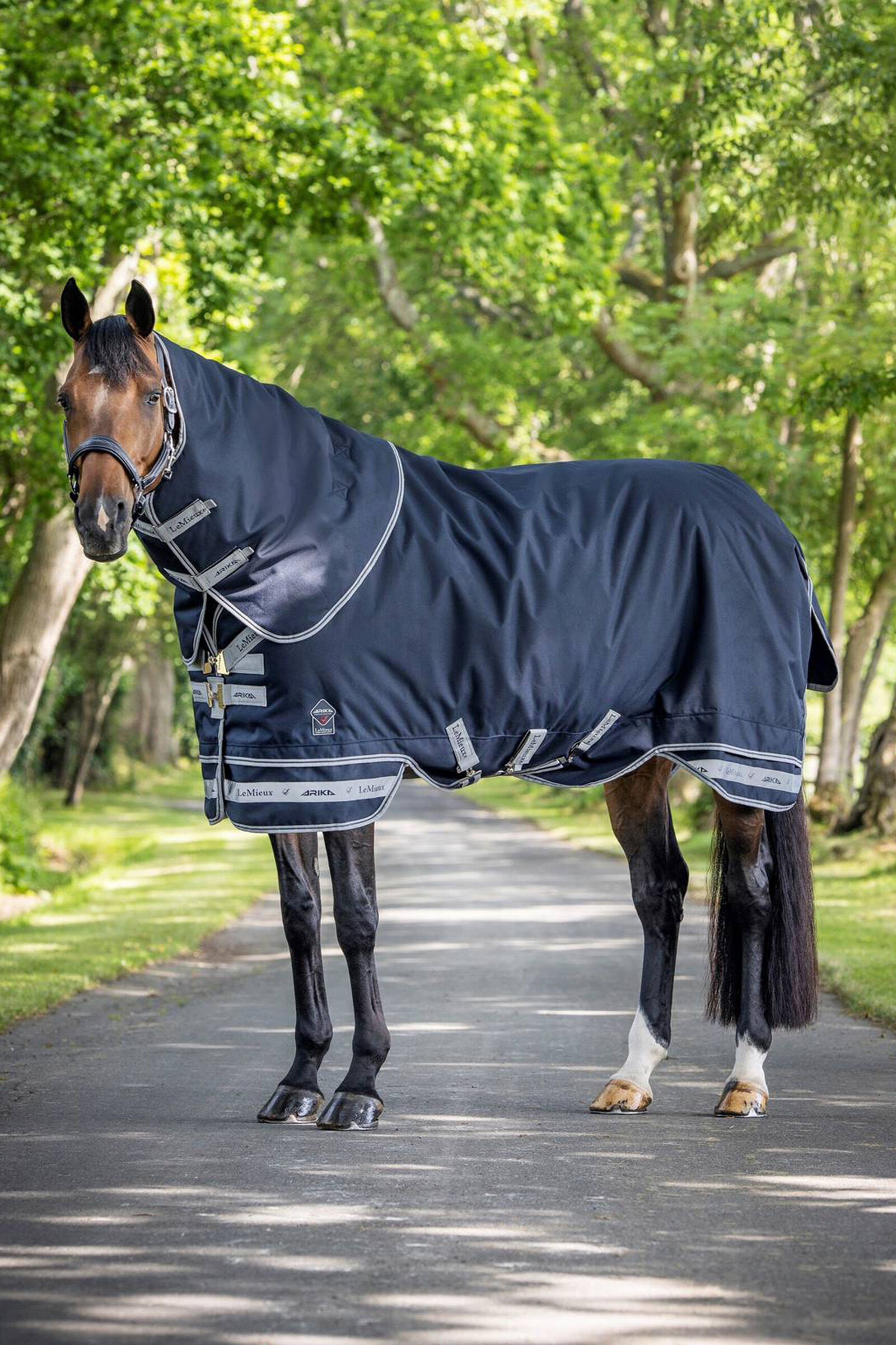 LeMieux Arika Storm-Tek Lightweight Turnout Rug, 100g