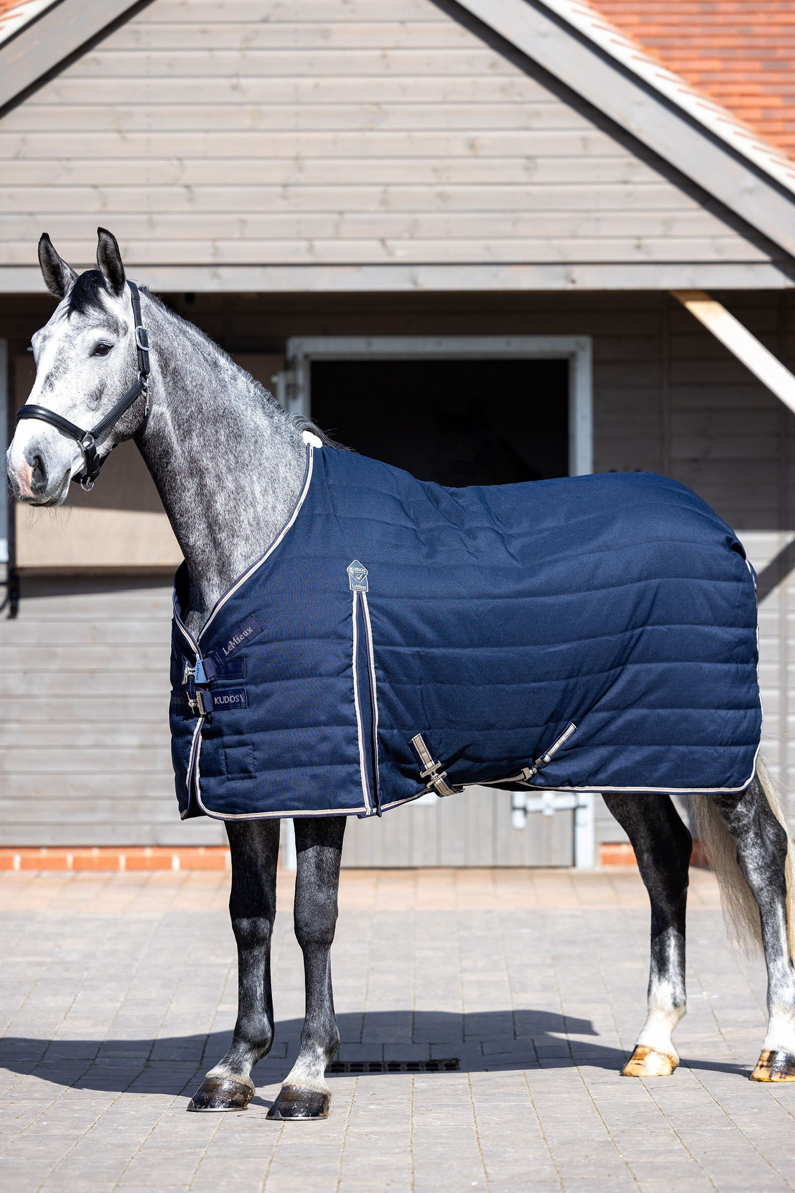 LeMieux Stable Rugs