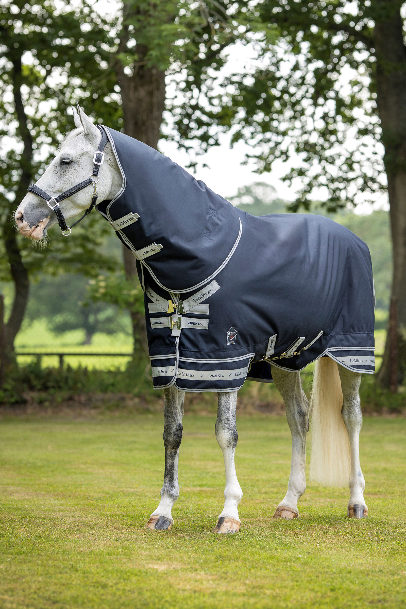LeMieux Arika Storm-Tek Rug 50g