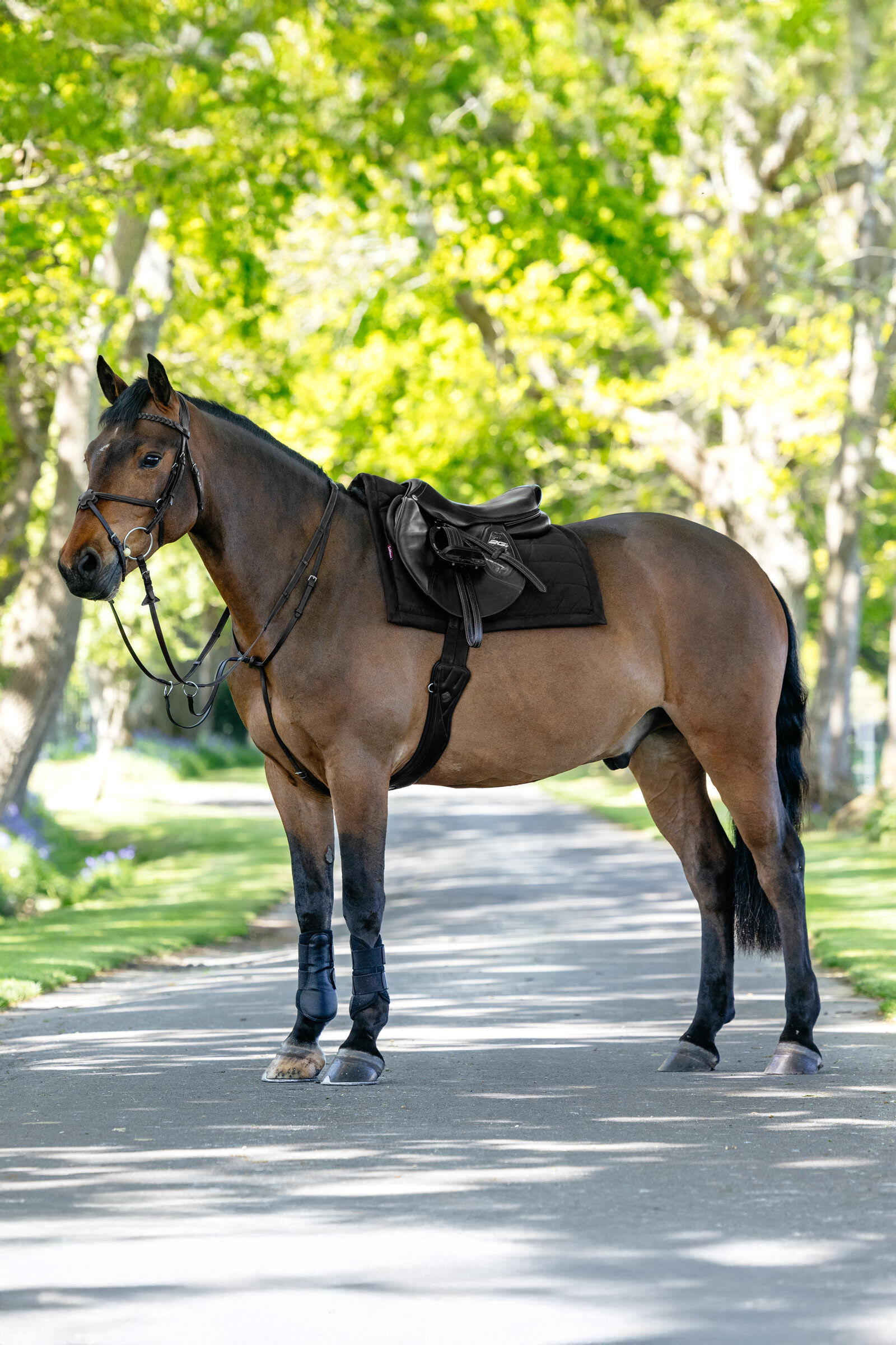 LeMieux Pillow Cushioned All Purpose Saddle Pad