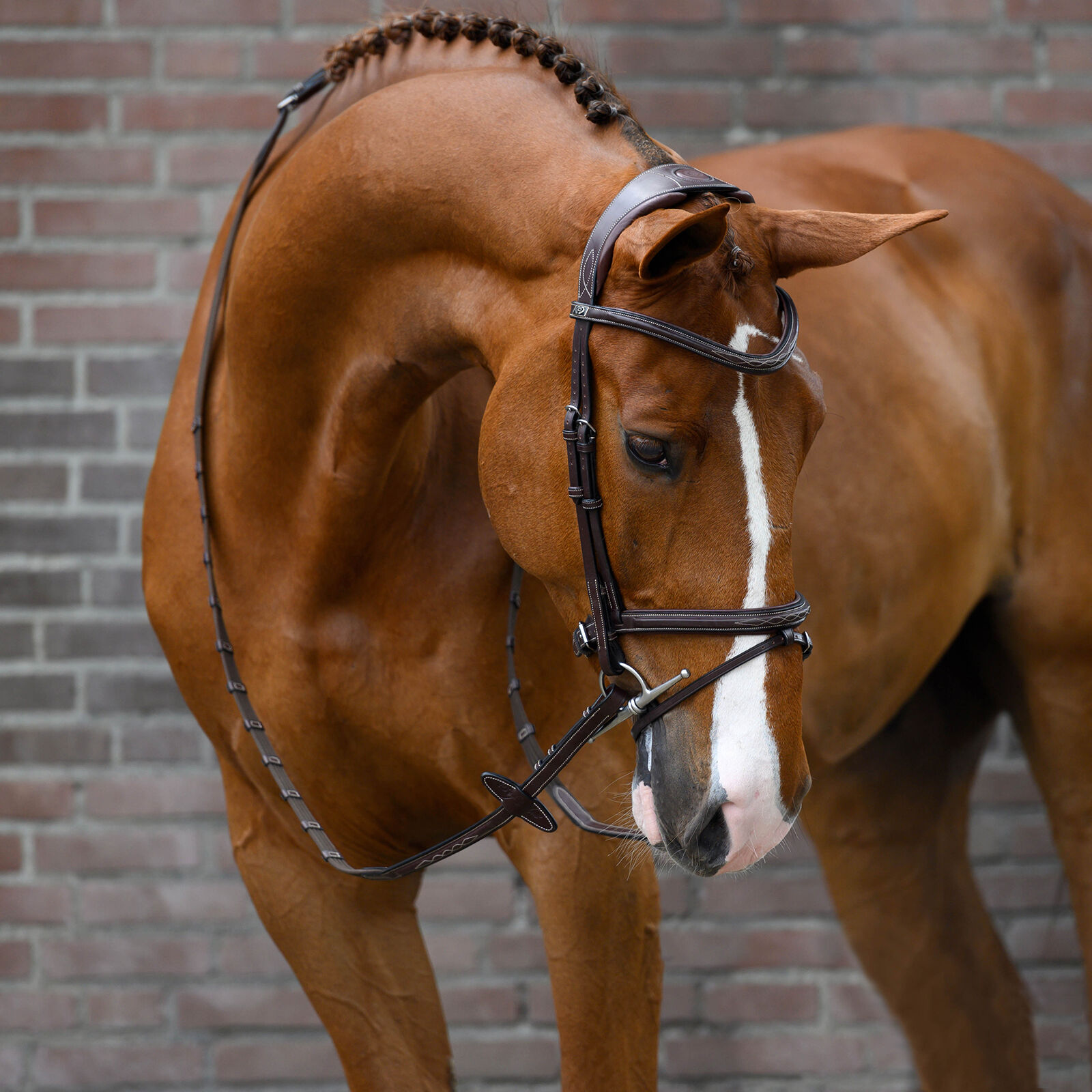 PS of Sweden bridle Stockholm, Black, F