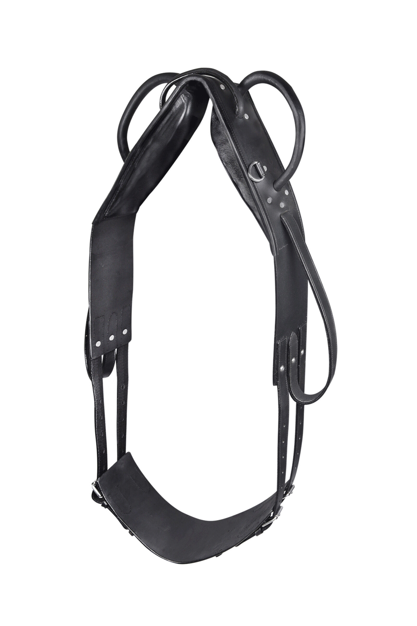 Waldhausen Vaulting & Lunging Surcingle, Black, F