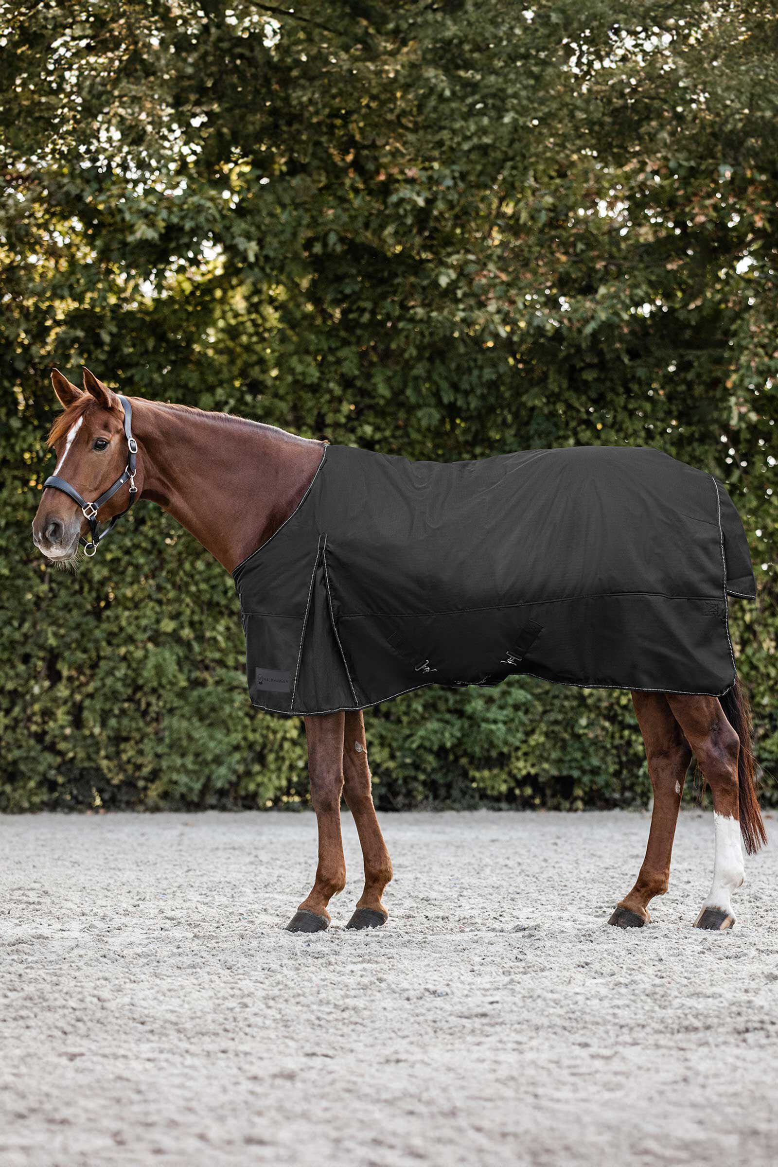 Waldhausen Nordic Turnout Rug, 200 g