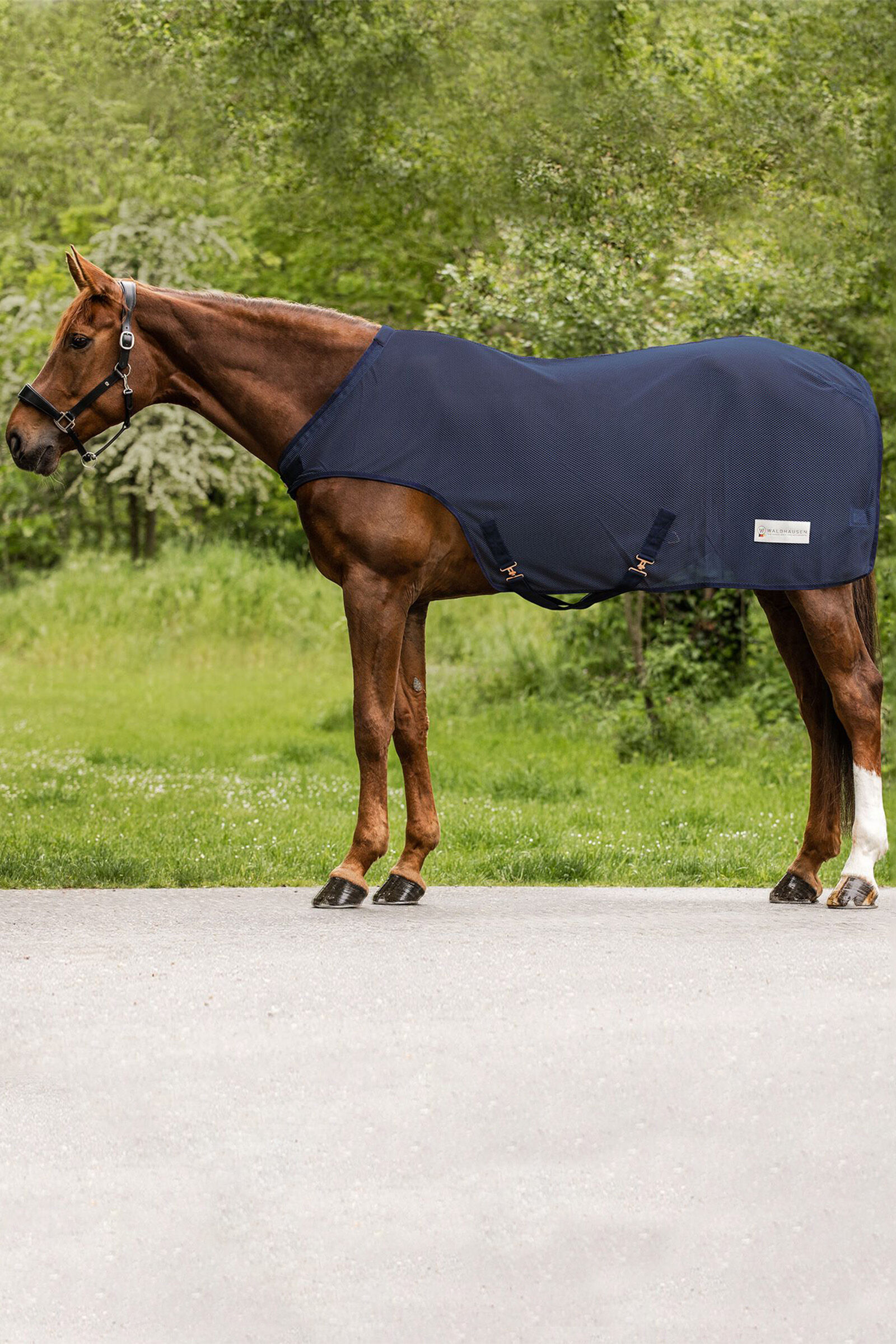 Couverture pour machine de marche pour chevaux volants COMFORT de Waldhausen