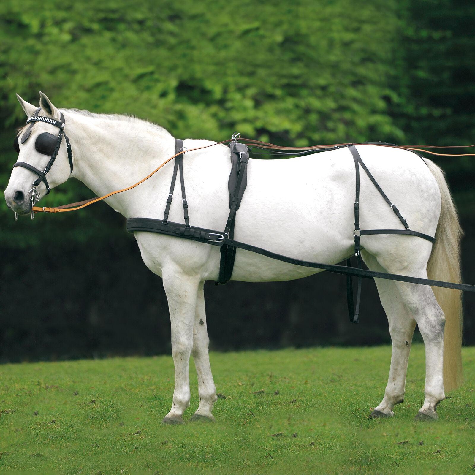 Waldhausen Economic Single Harness Cob and Full