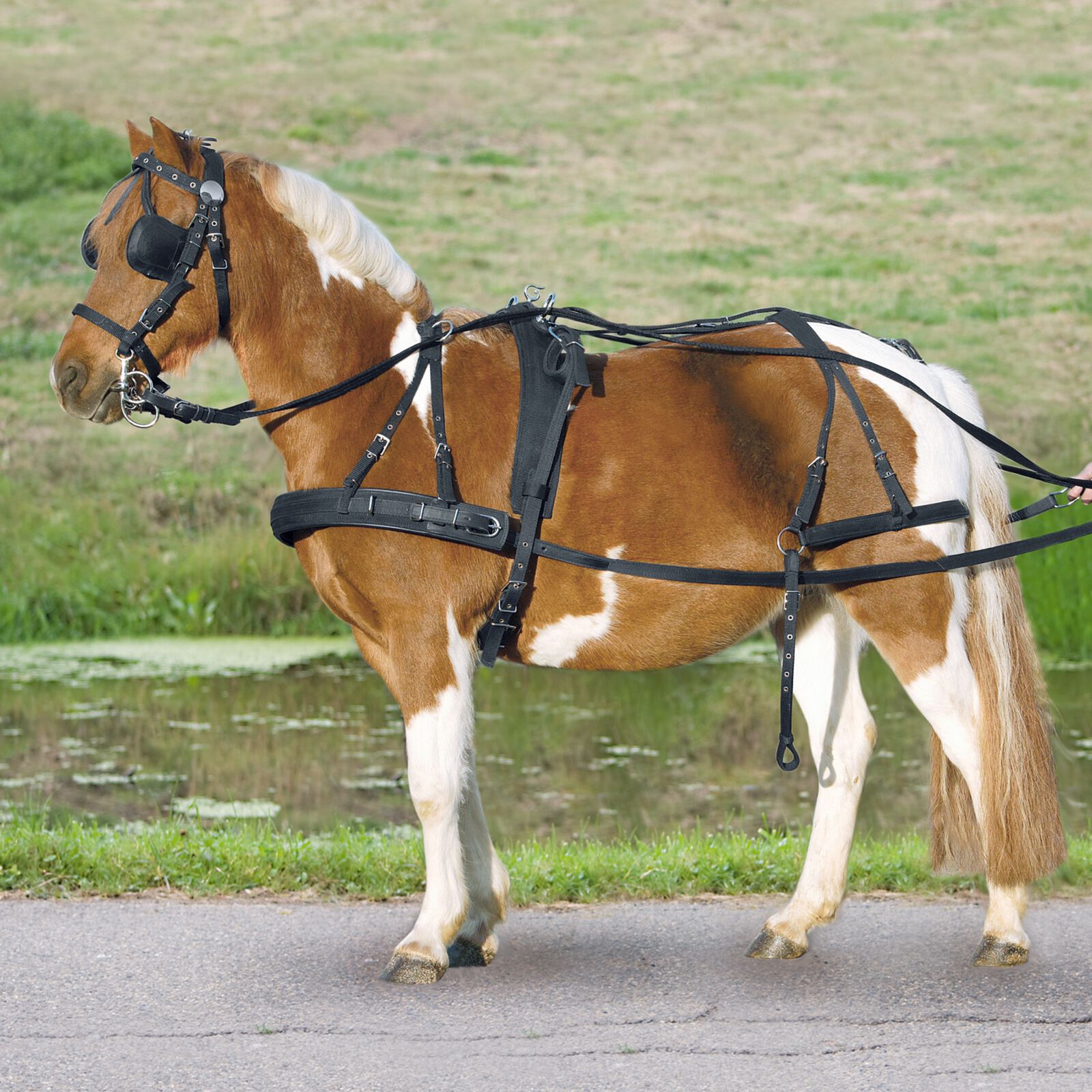 Waldhausen Single Harness Pony and Shetty, Black, P