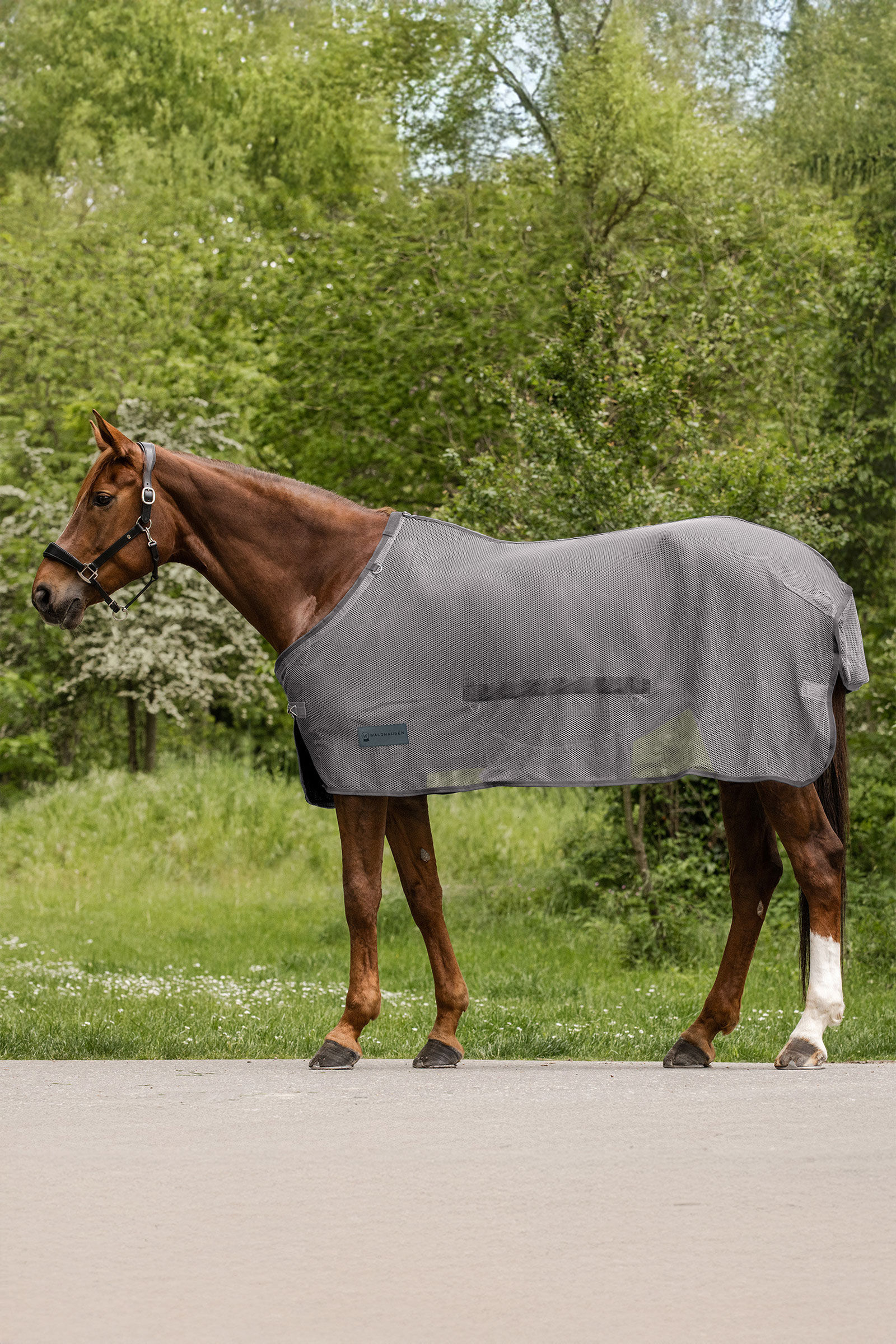 Waldhausen Comfort vliegendeken met buikflap
