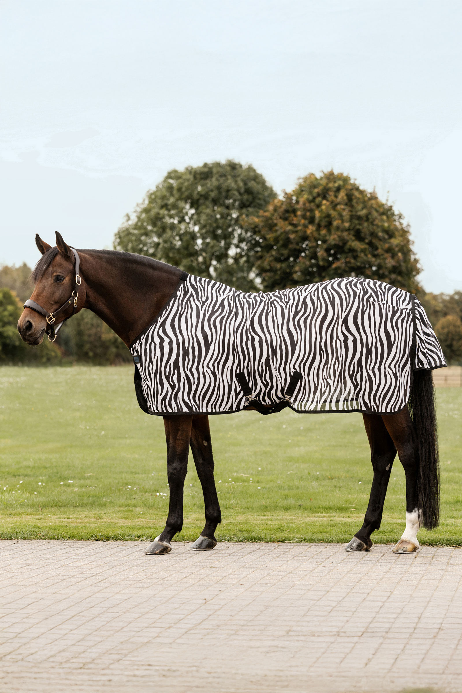 Waldhausen Zebra flugtäcke med kryssgjordar