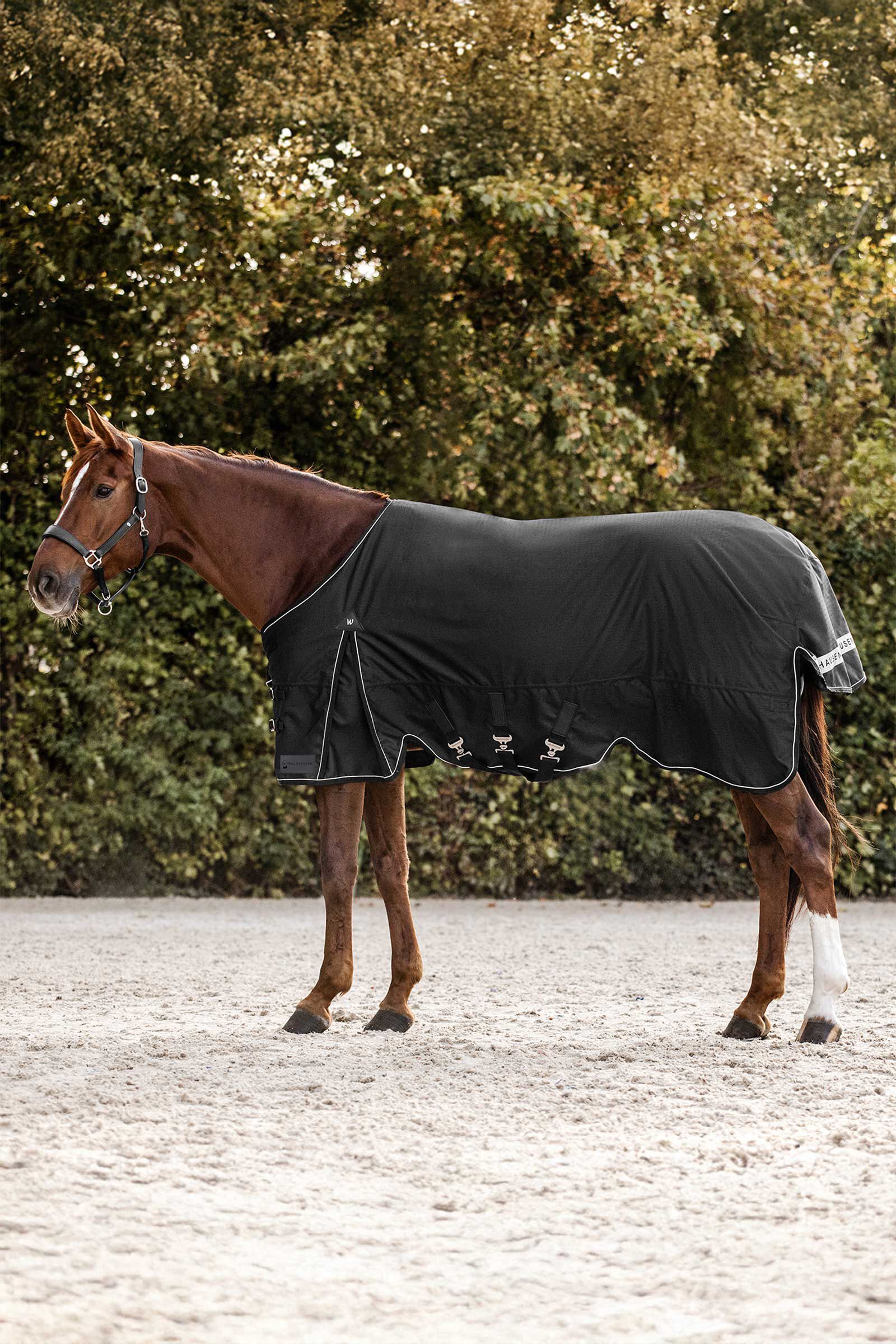Waldhausen Scandic Coperta da turnout leggera, 200 g