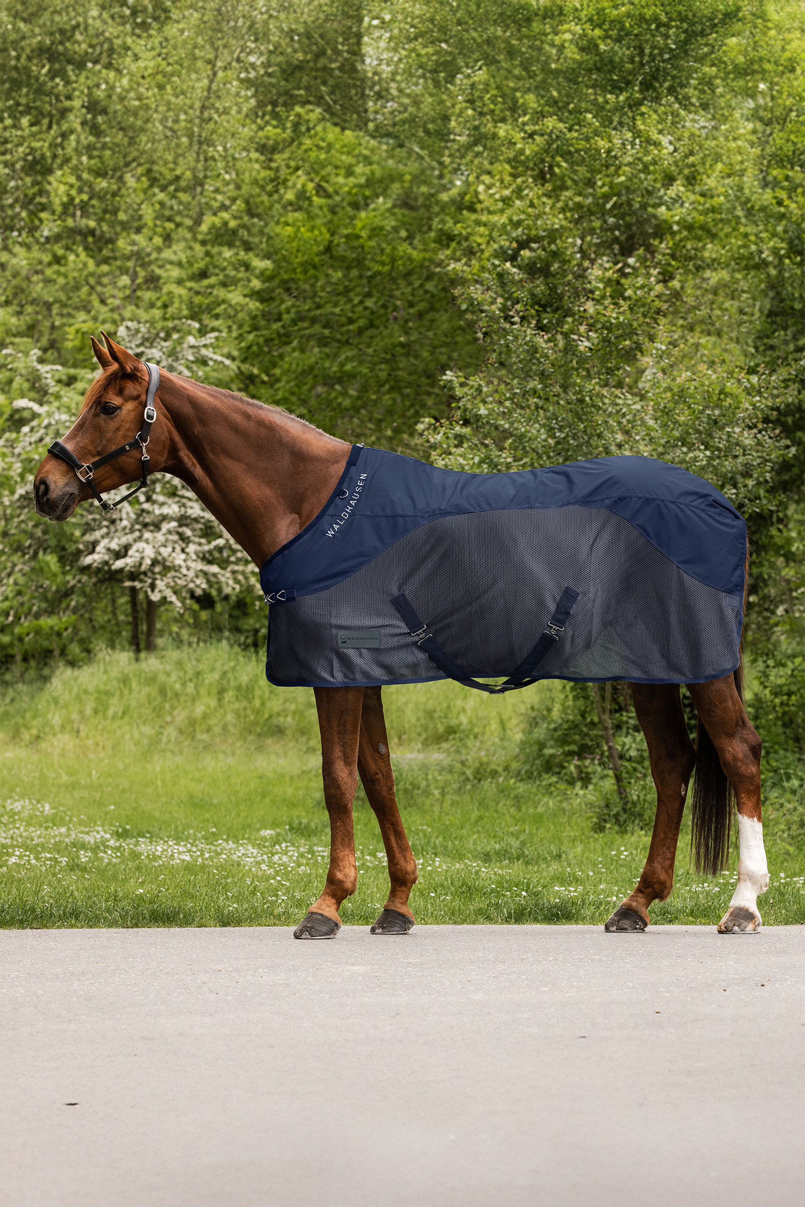 Waldhausen Comfort coperta antipioggia e antimosche
