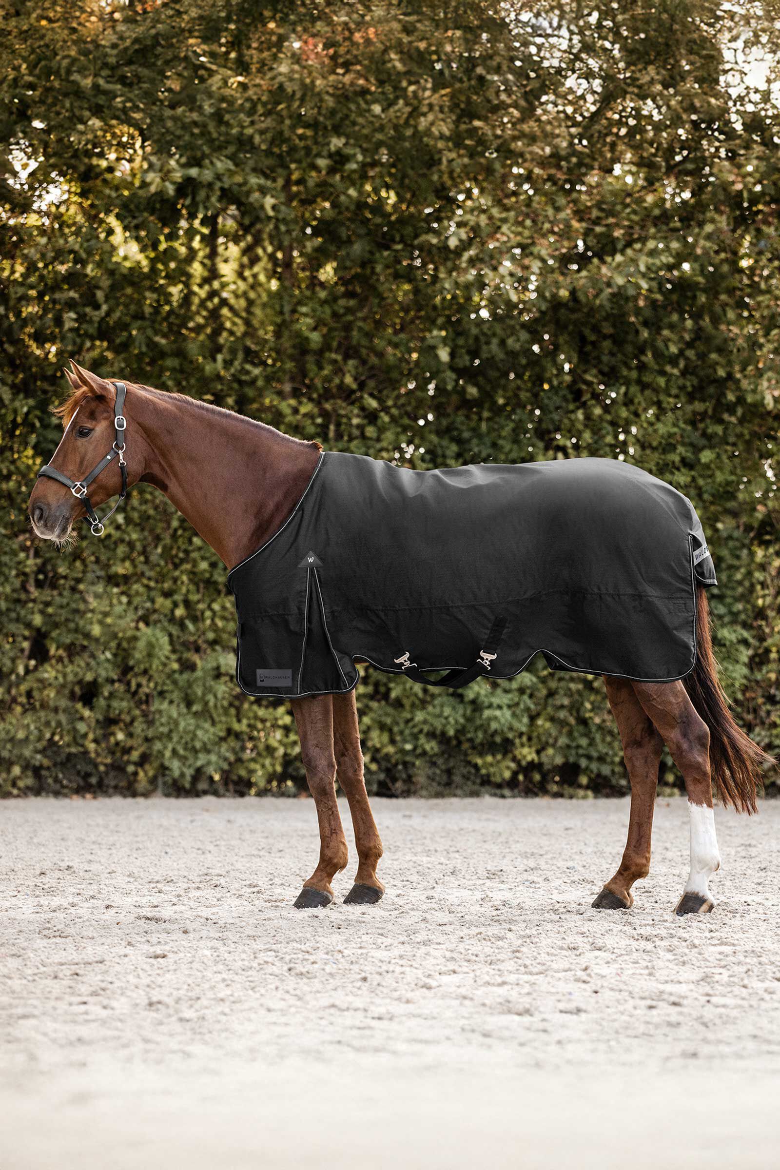 Waldhausen Arctic Turnout Rug, 50g