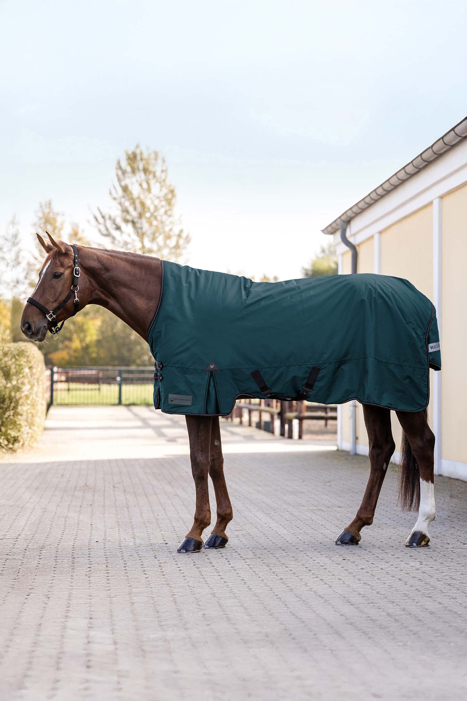 Waldhausen Arctic Turnout Rug, 50 g