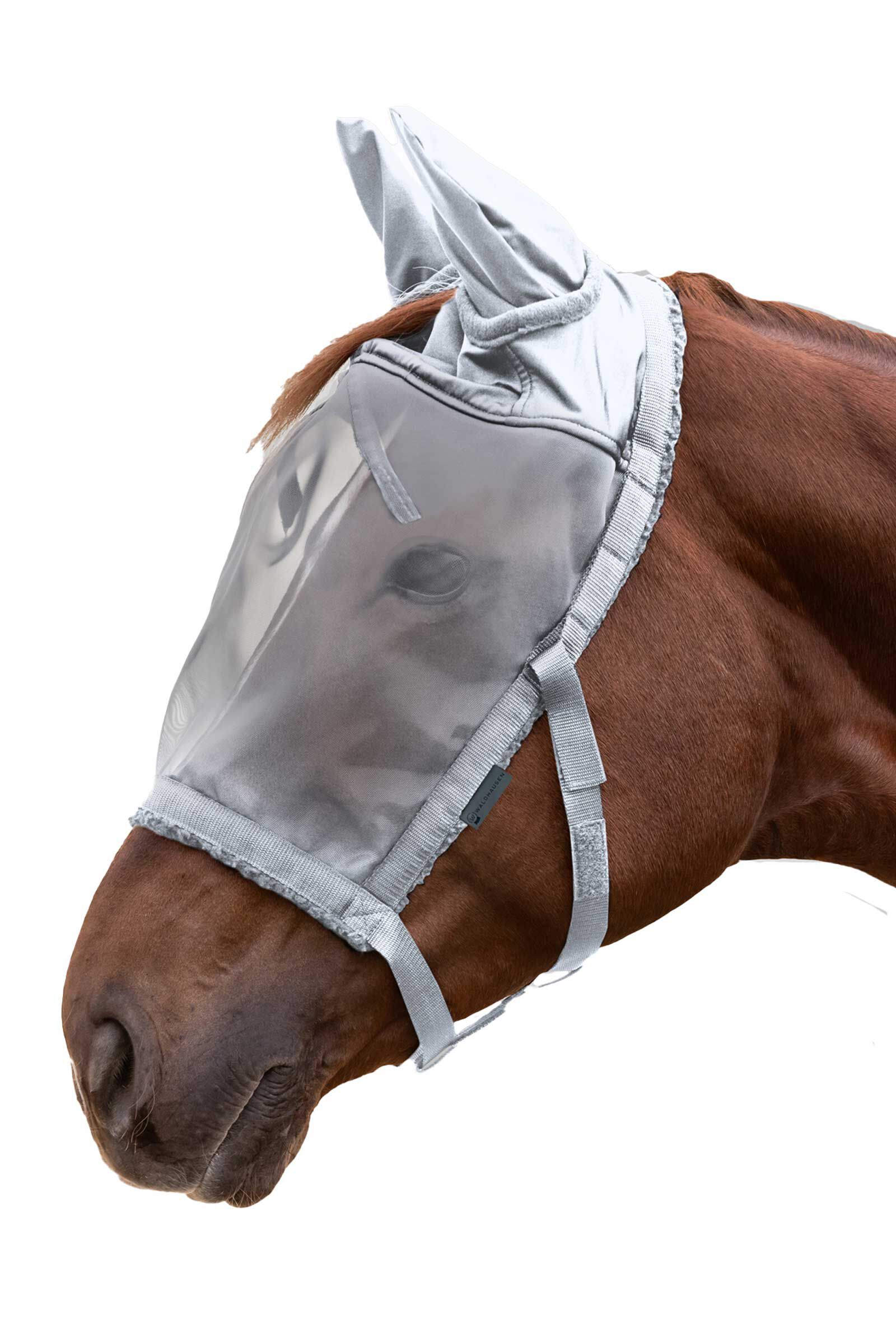 Waldhausen betesgrimma med flugmask