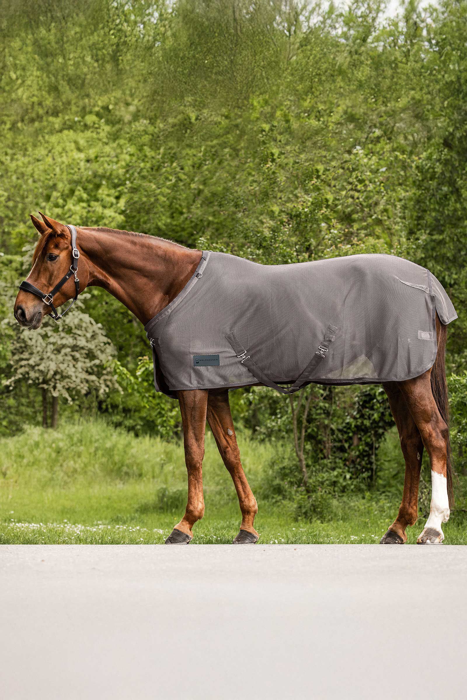 Waldhausen Comfort Fly Rug