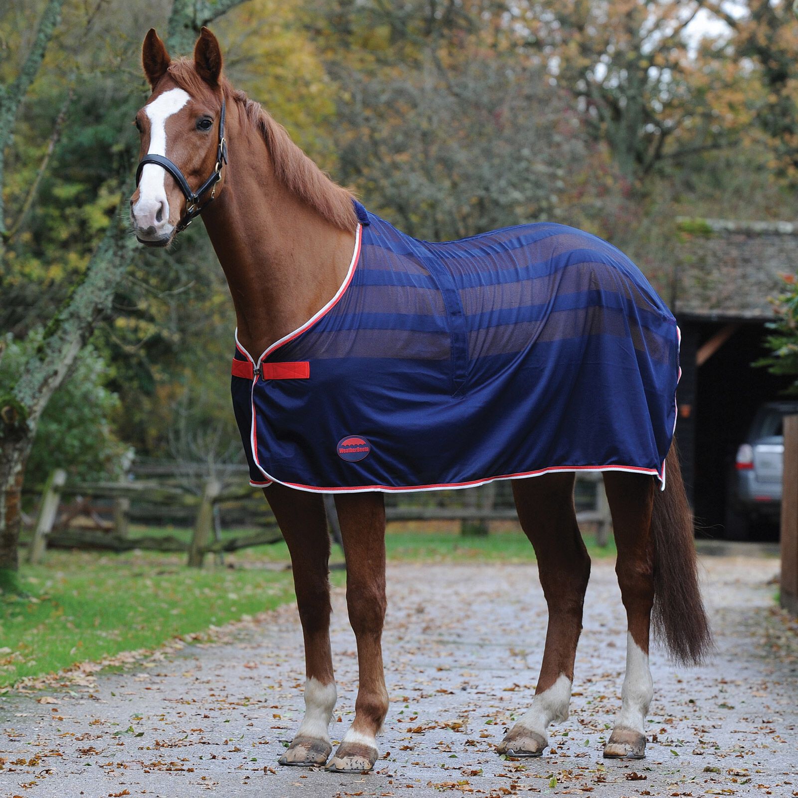 Weaterbeeta Scrim Cooler, Dark Blue/Red/White, 145