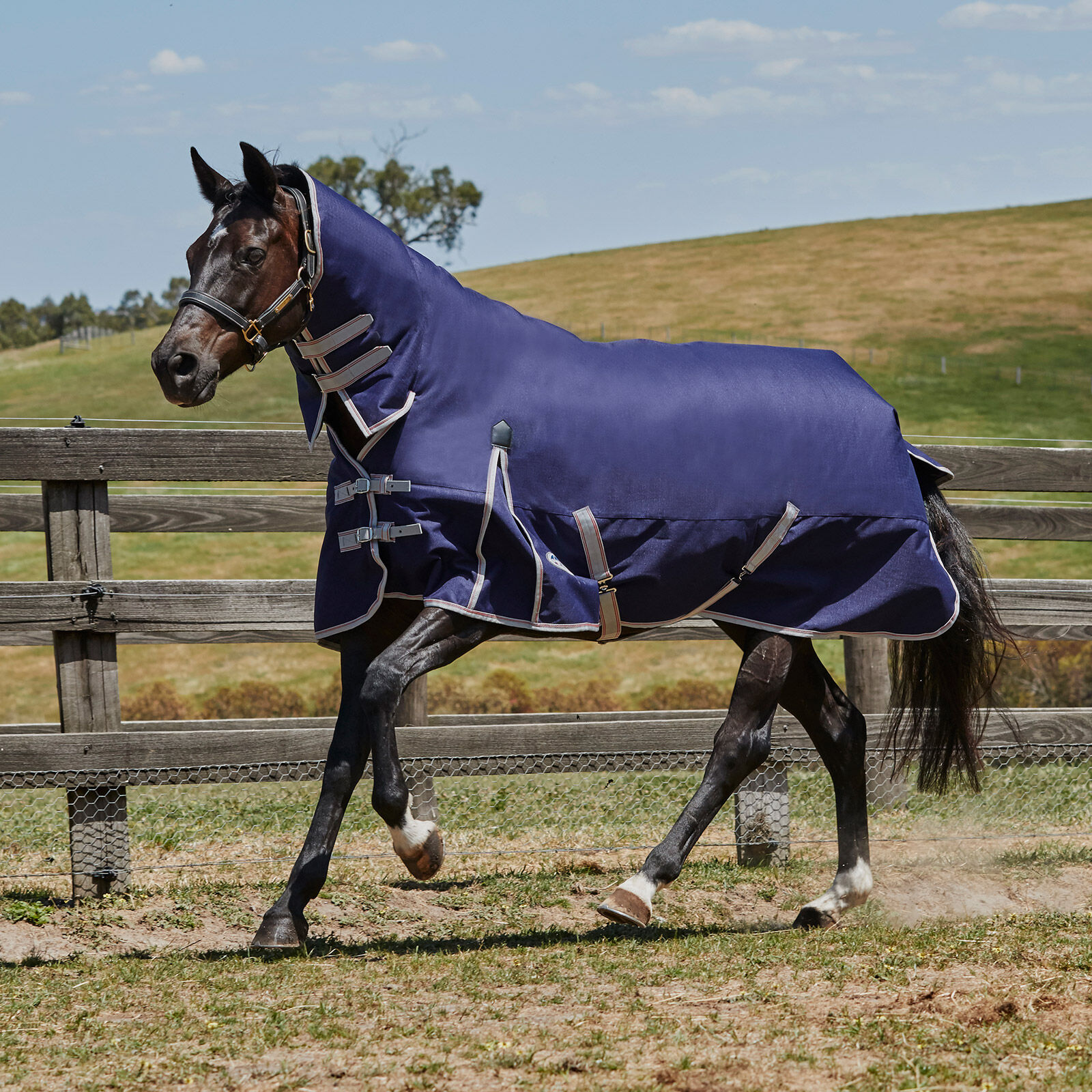 Weatherbeeta Comfitec Essential Turnout Rug with Fixed Neck, 0g, Navy/Silver/Red, 160
