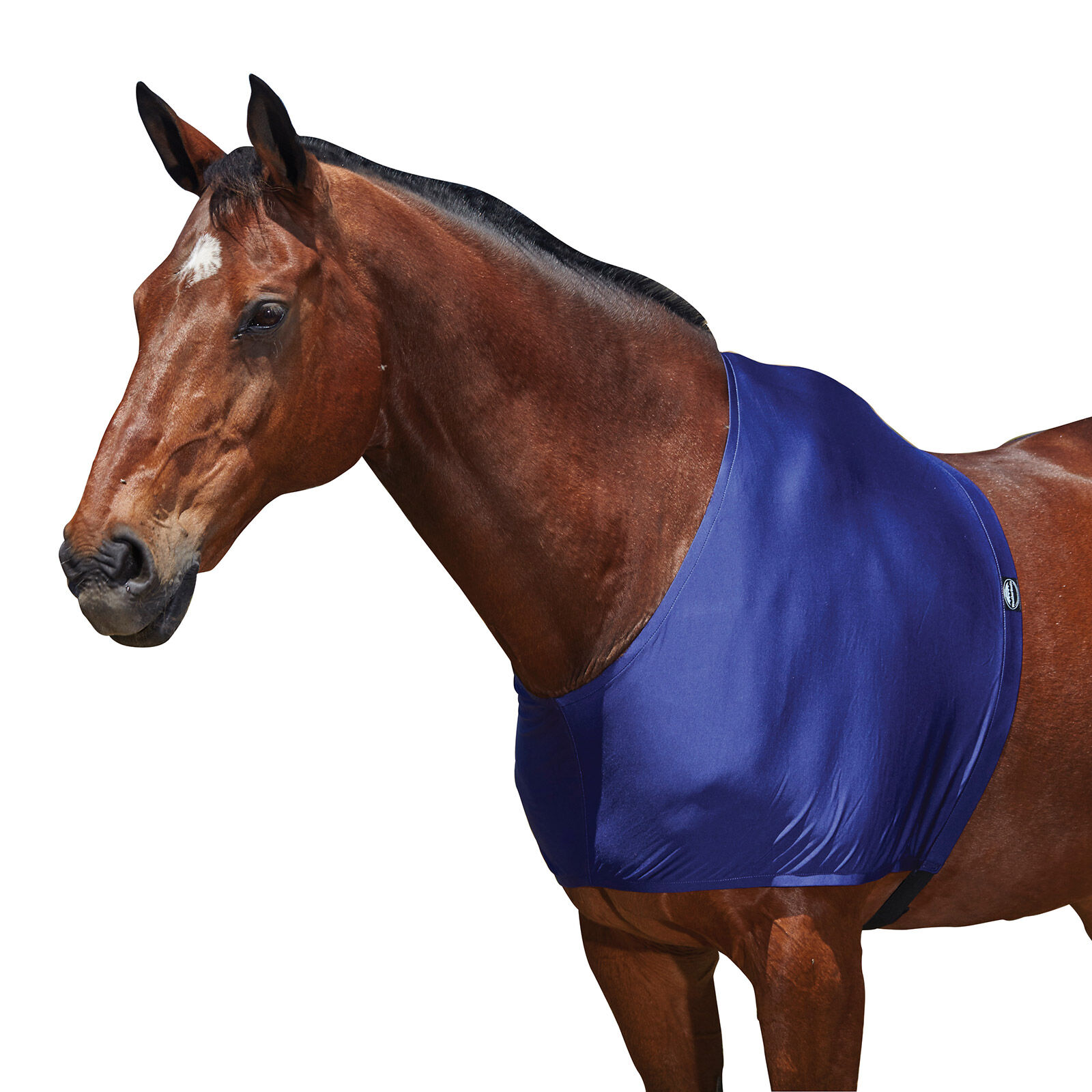 Weatherbeeta Stretch Shoulder Guard, DB/AB, C