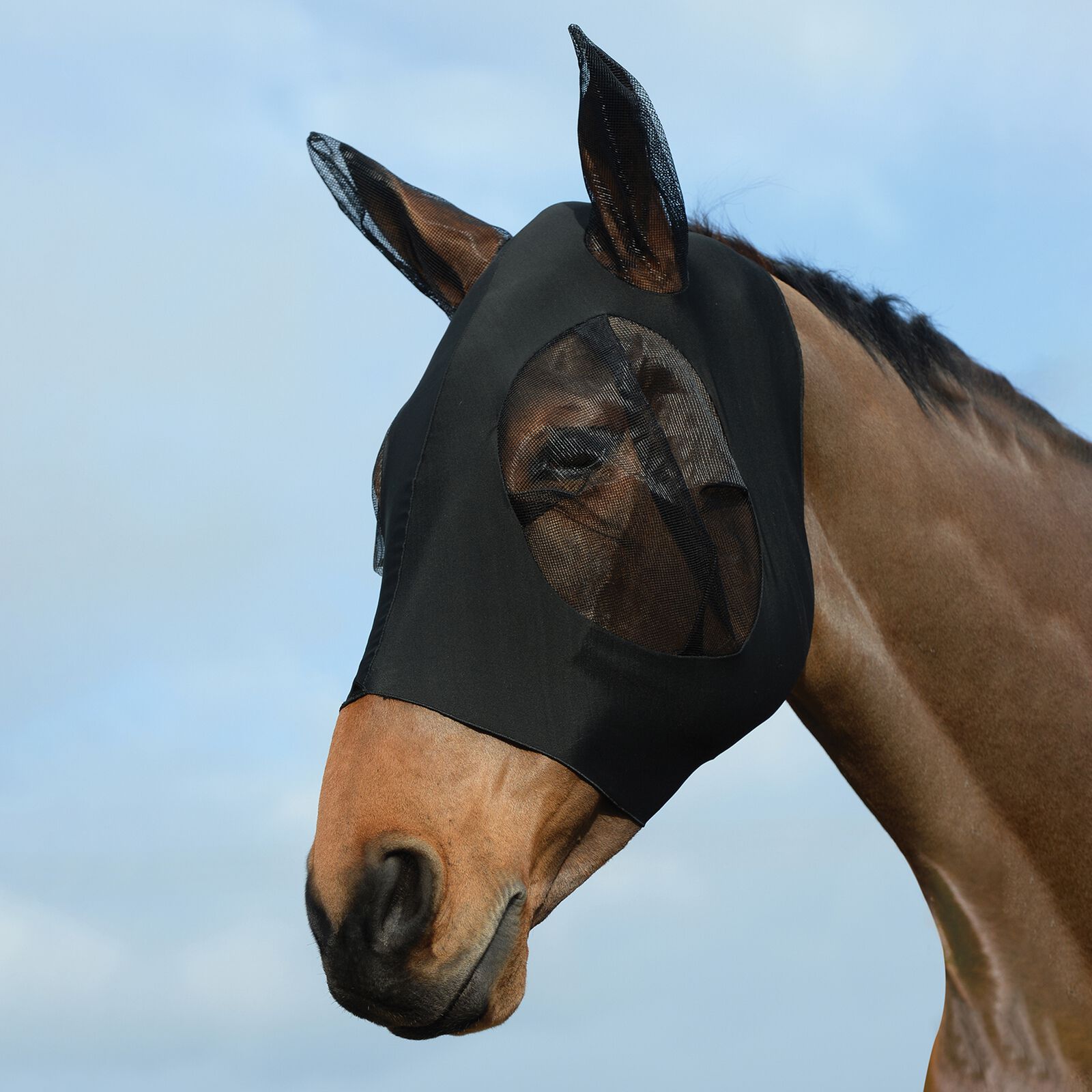 Weatherbeeta Stretch Bug Fly Mask With Ears, Black/Black, C