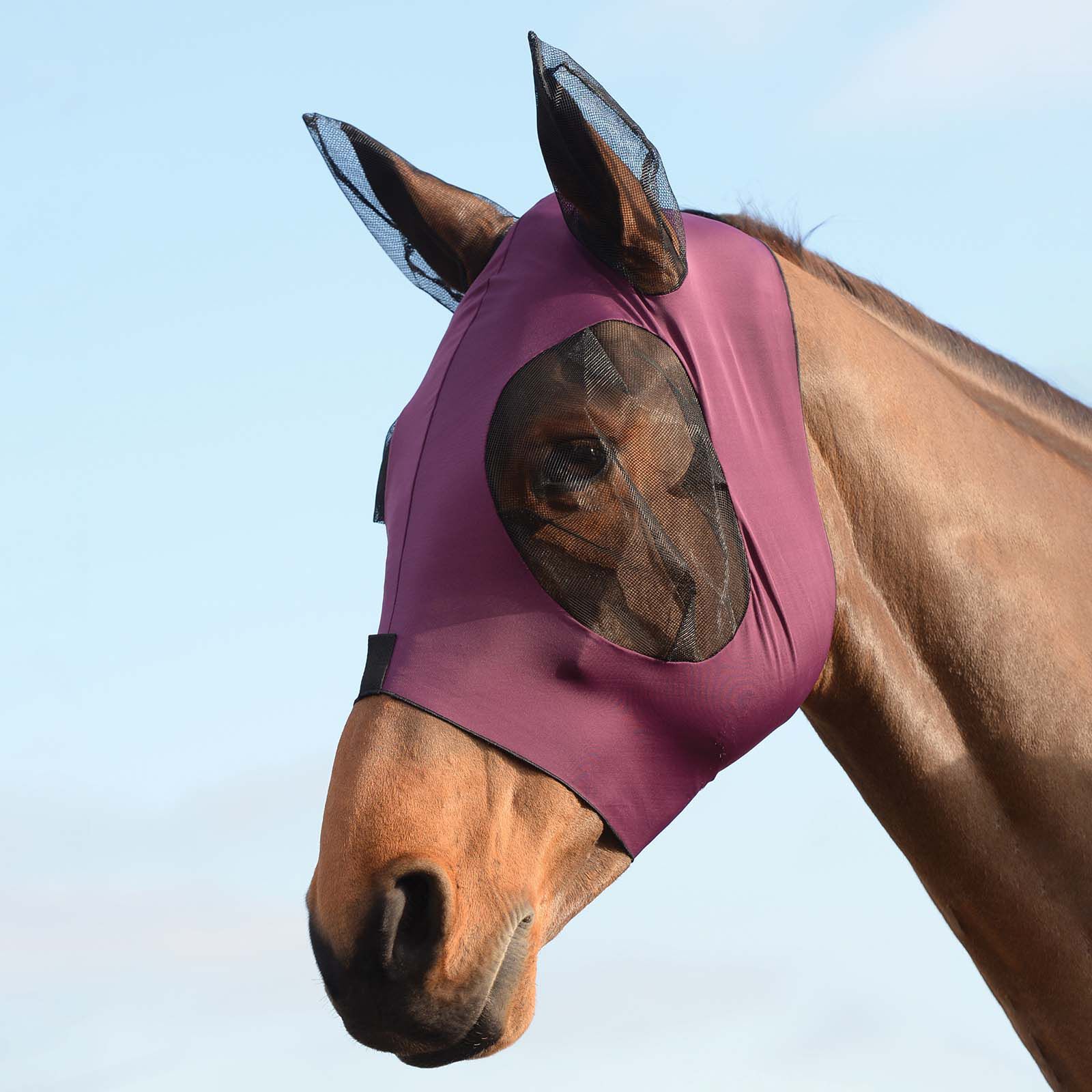 Weatherbeeta Stretch Bug Fly Mask With Ears
