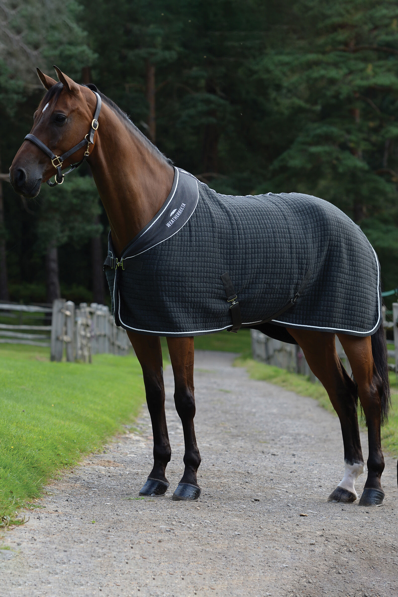 Weatherbeeta Thermocell Cooler