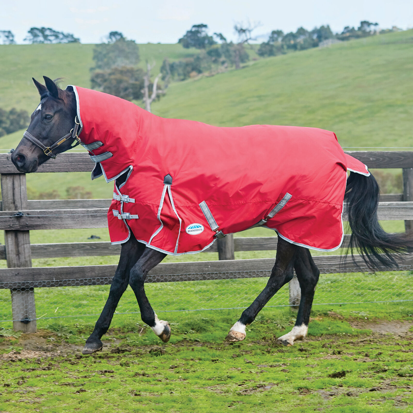 Weatherbeeta Comfitec Classic Combo Neck Turnout Rug, 100g
