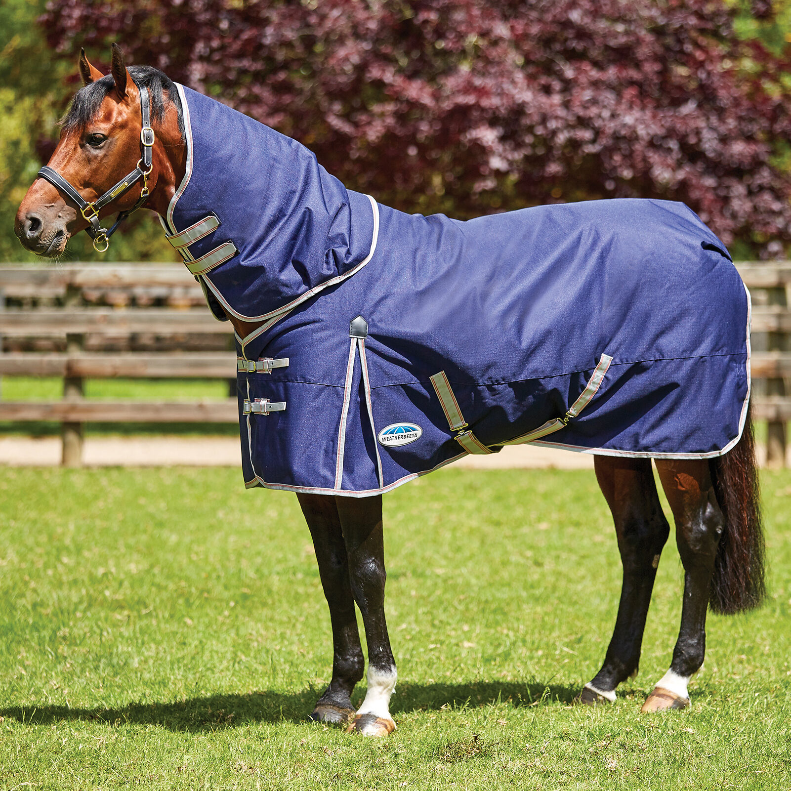 Weatherbeeta Comfitec Essential Detach-a-Neck, 50g, Navy/Silver/Red, 90