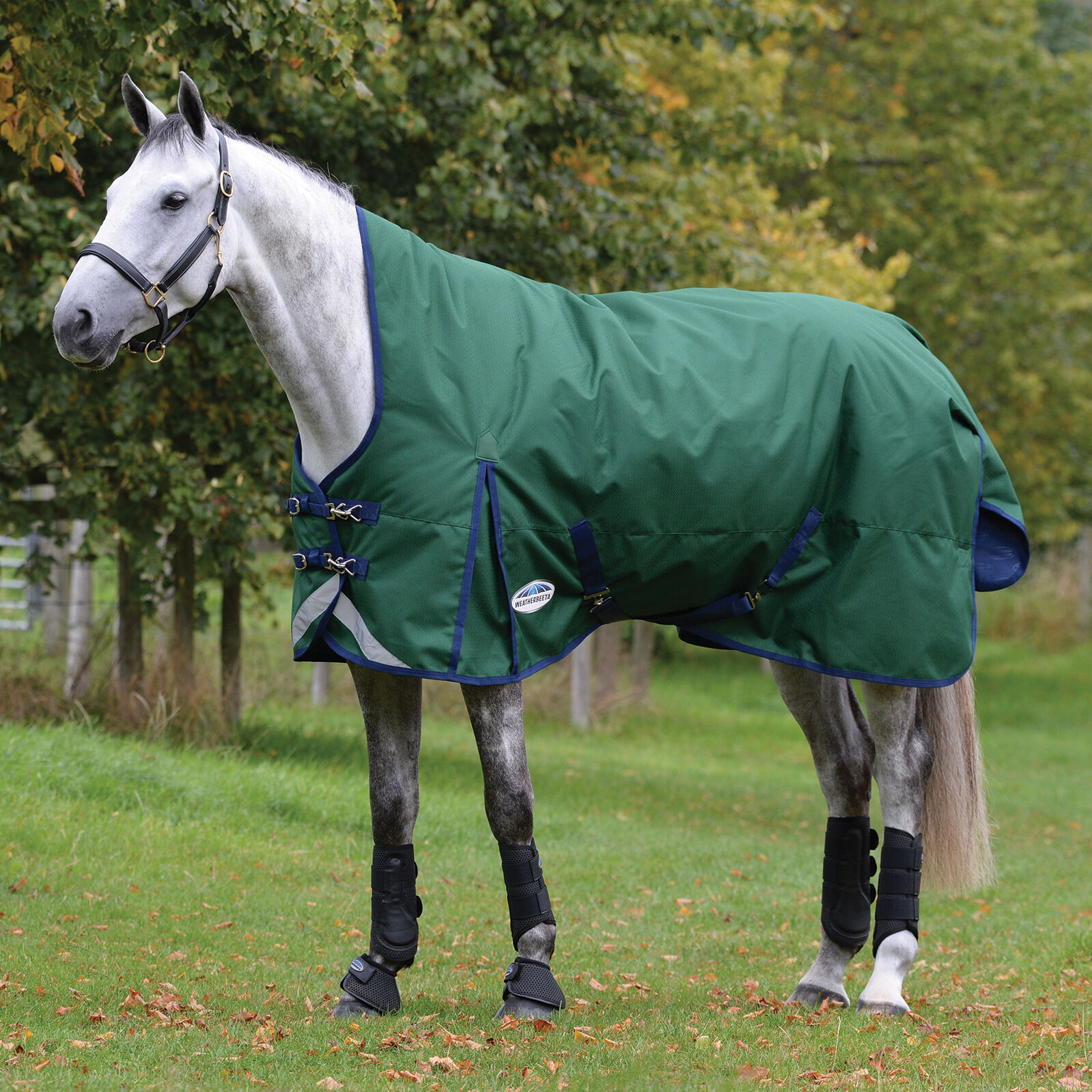 Weatherbeeta Comfitec Plus Dynamic II Turnout Rug With High Neck, 0g, Hunter Green/ Navy, 165