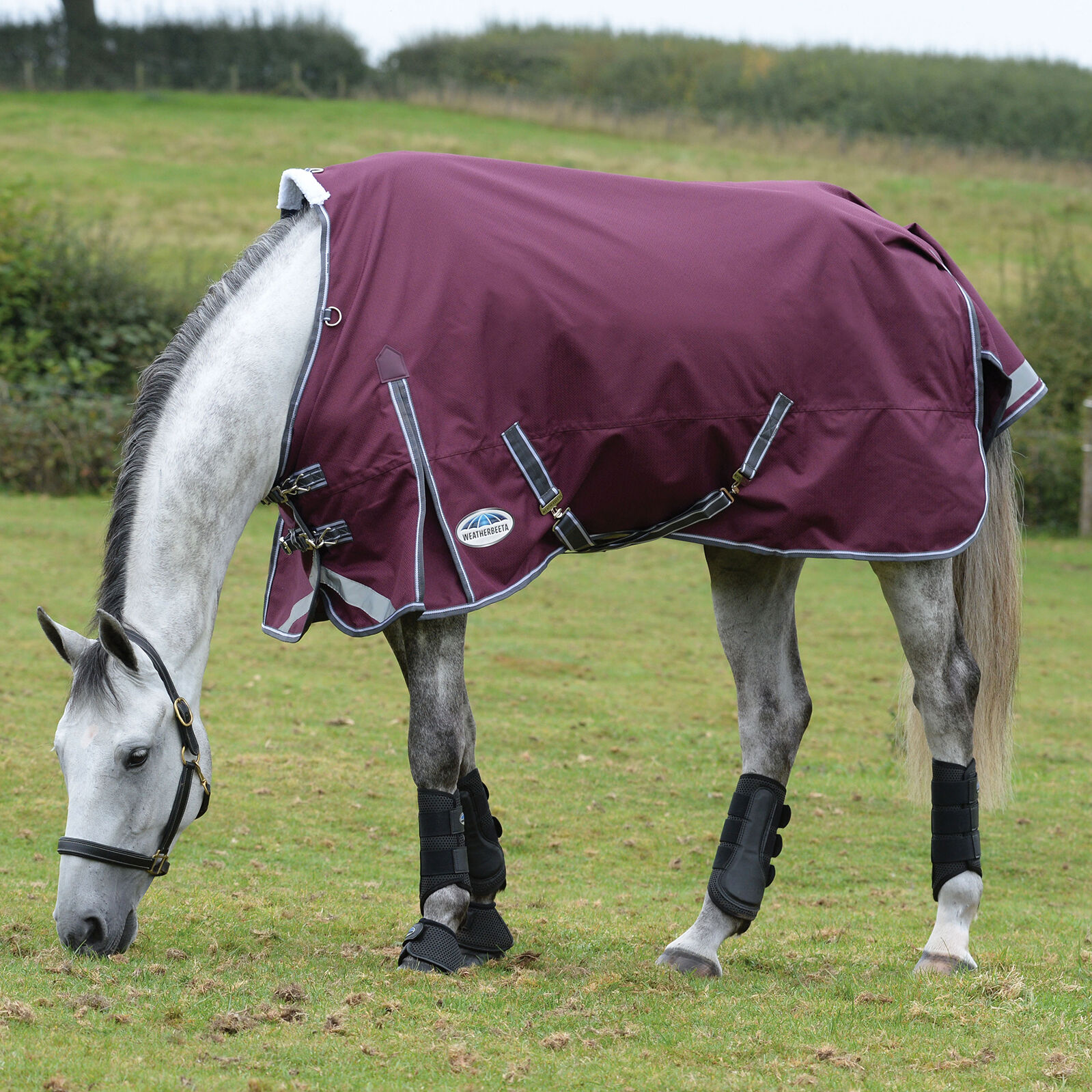 Weatherbeeta Comfitec Plus Dynamic II Turnout Utetäcke, 100g