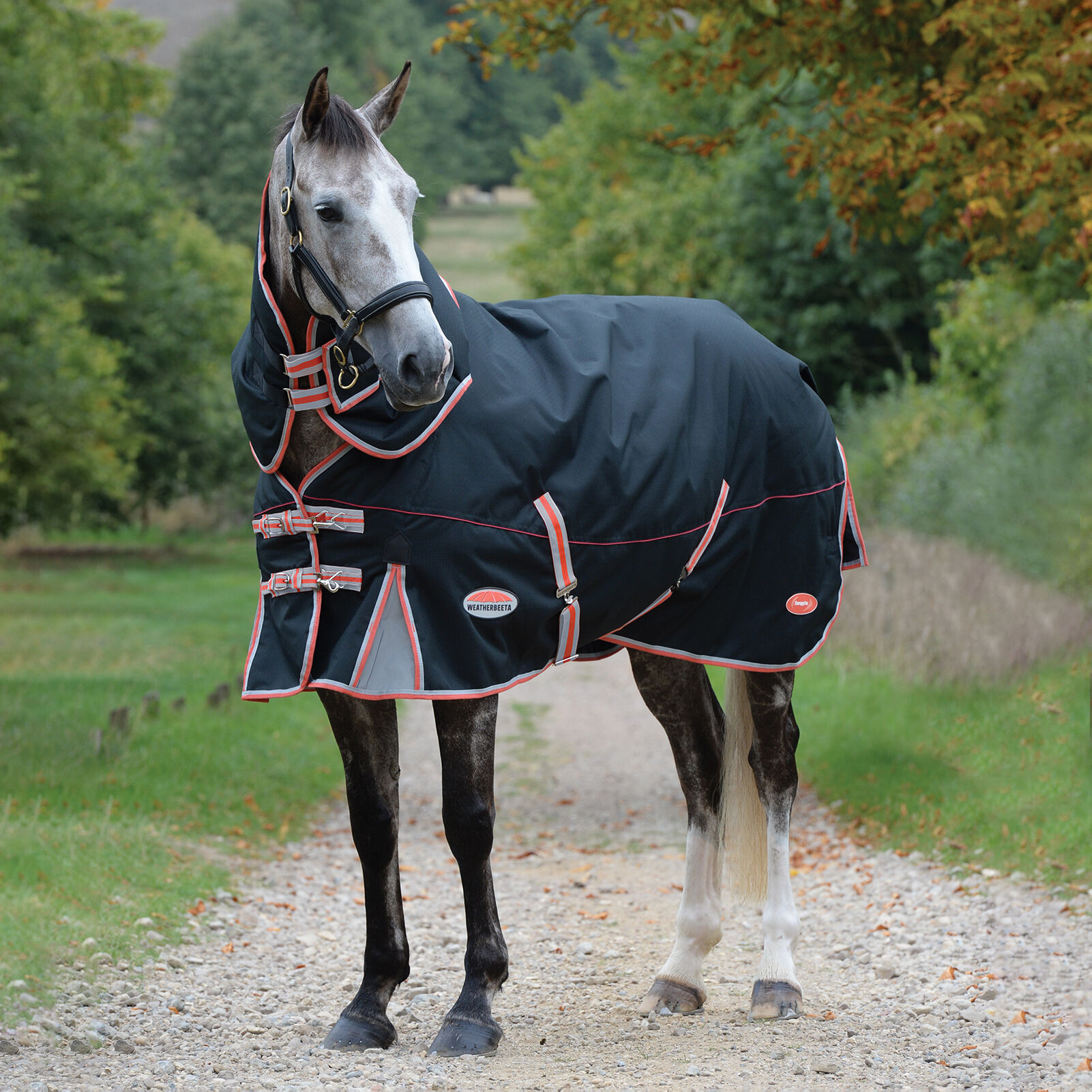 Weatherbeeta Comfitec Premier with Therapy-Tec incl. Detachable Neck, 220g, Black/Silver/Red, 155