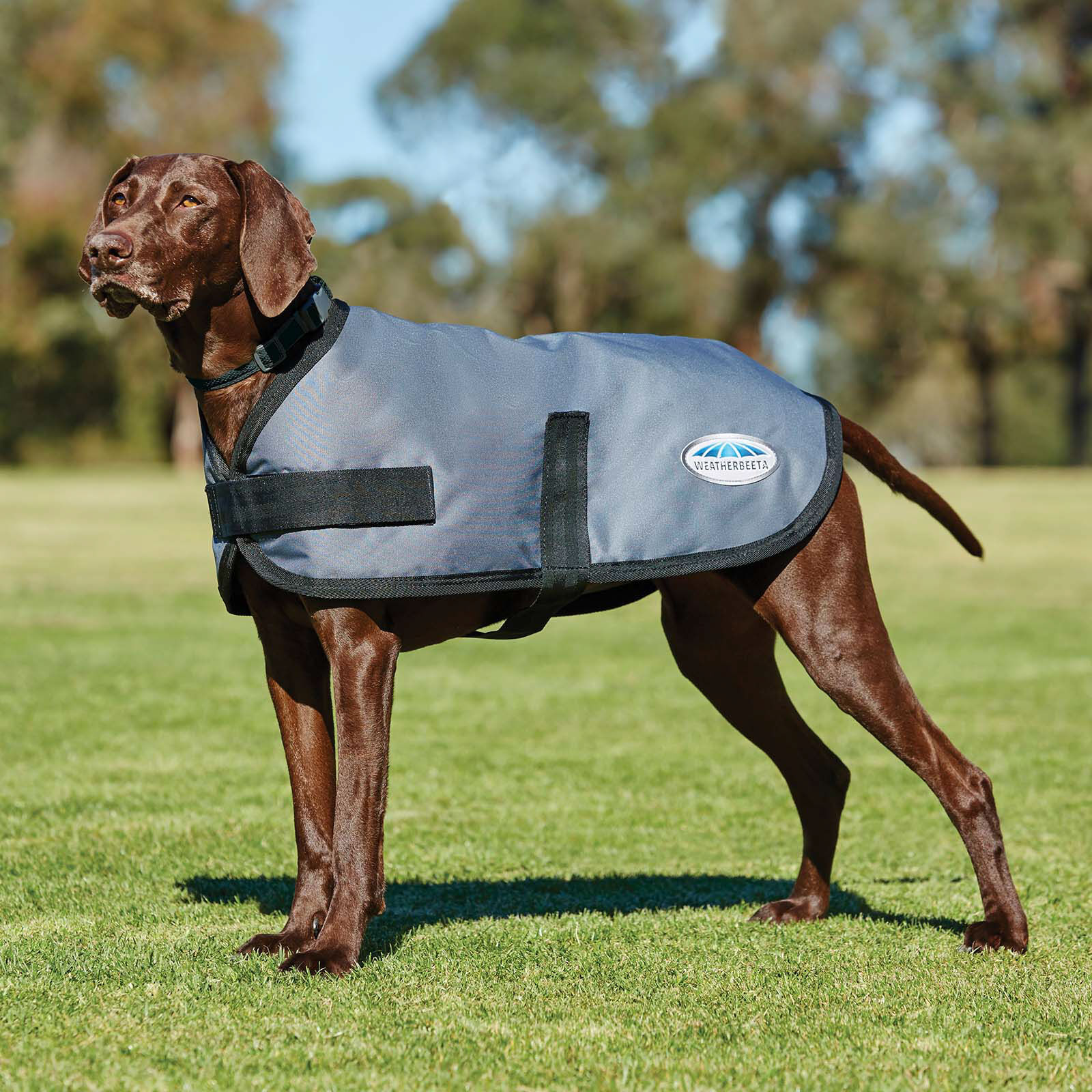 Weatherbeeta Hondenkleding