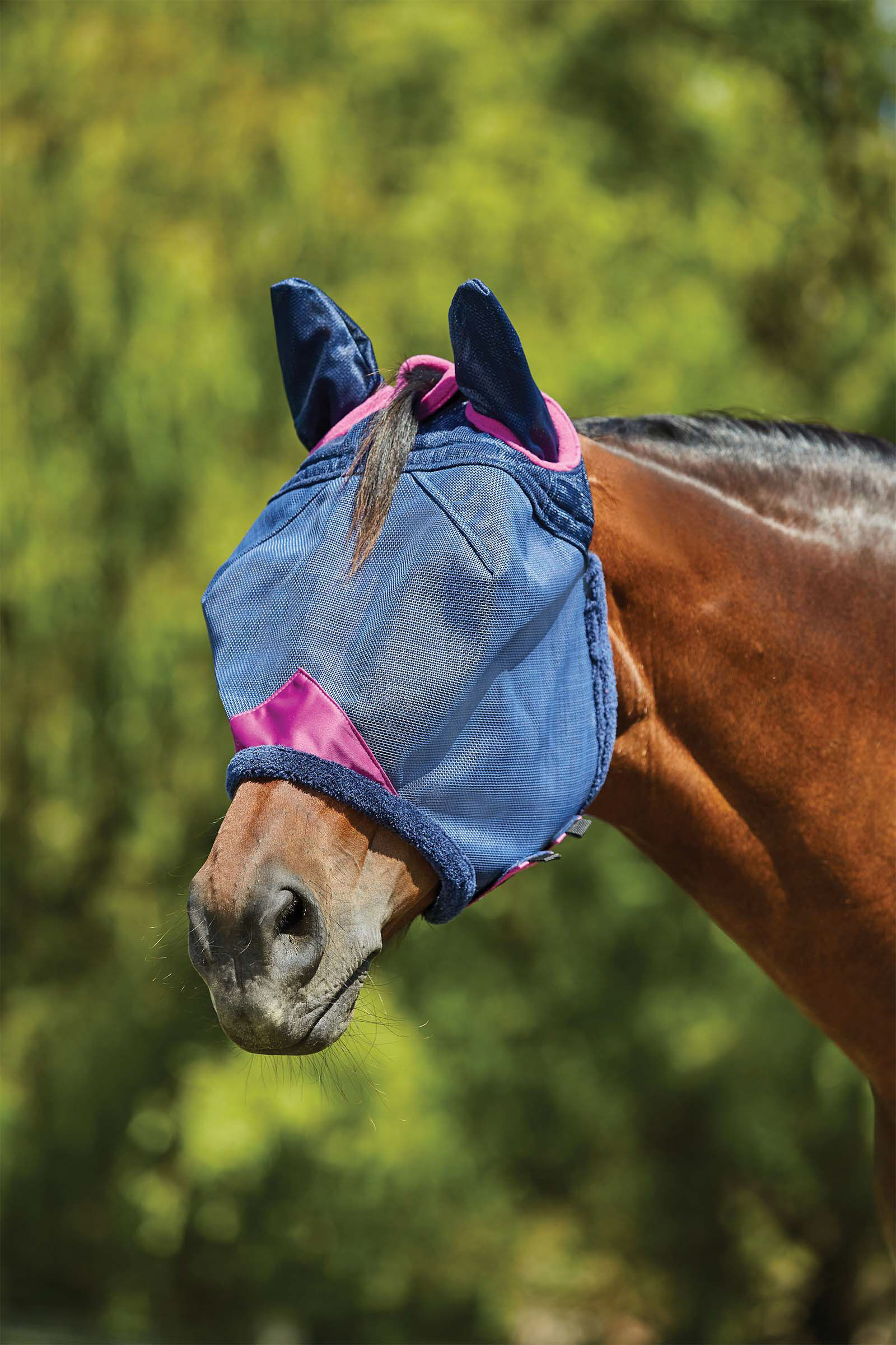 Weatherbeeta Comfitec Deluxe Durable Mesh Mask with Ears