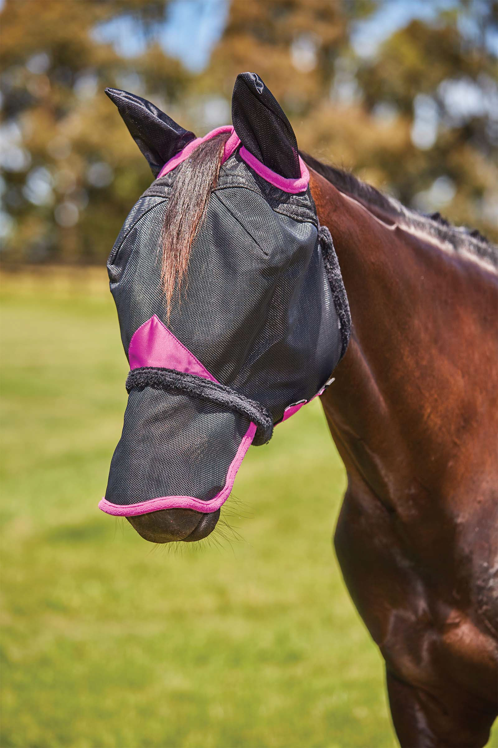 Weatherbeeta Comfitec Deluxe Durable Mesh Mask with Ears and Nose, Black/Purple, C