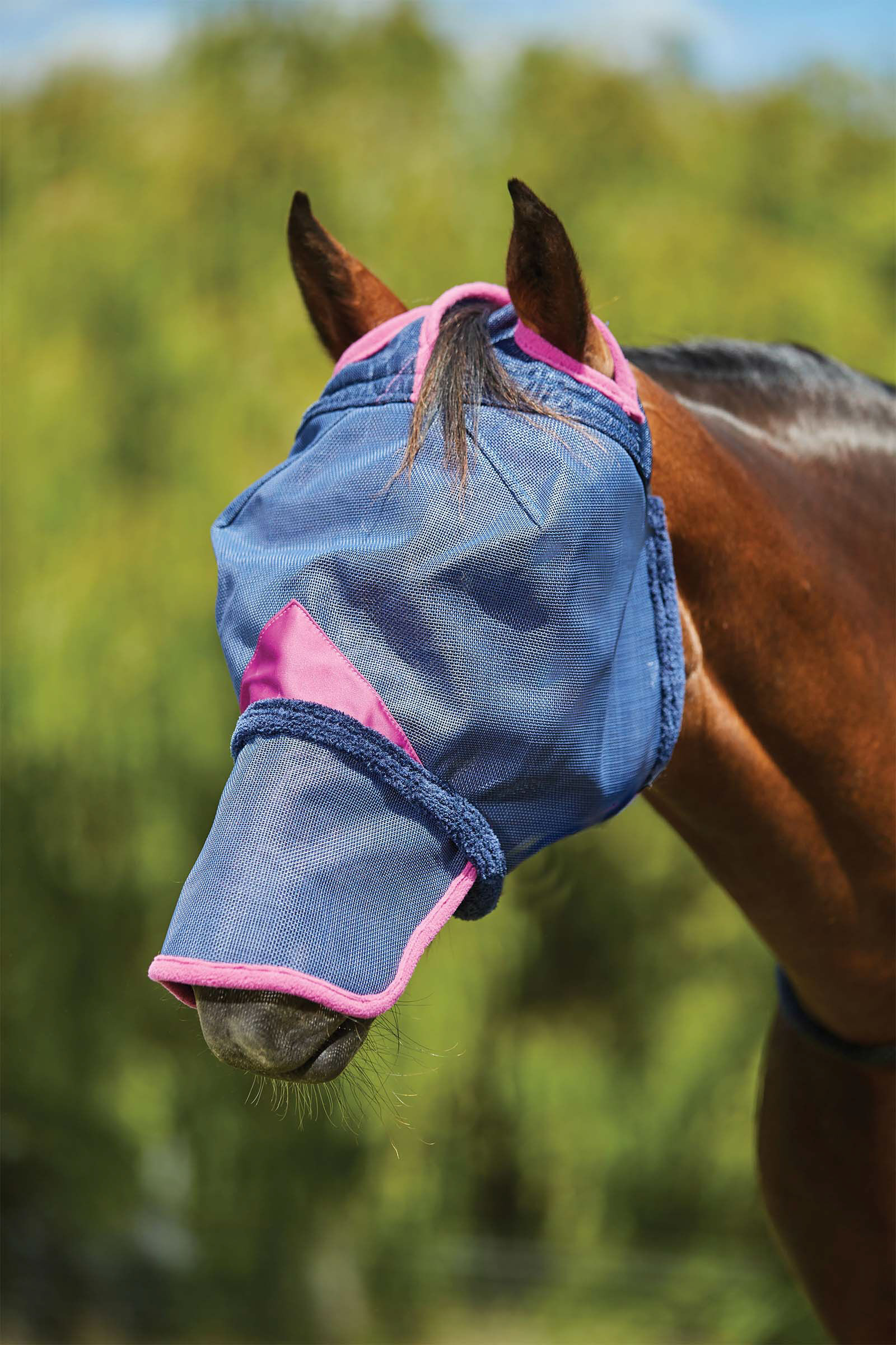 Weatherbeeta Comfitec Deluxe Durable Mesh Mask with Nose, Dark Blue/Purple, P