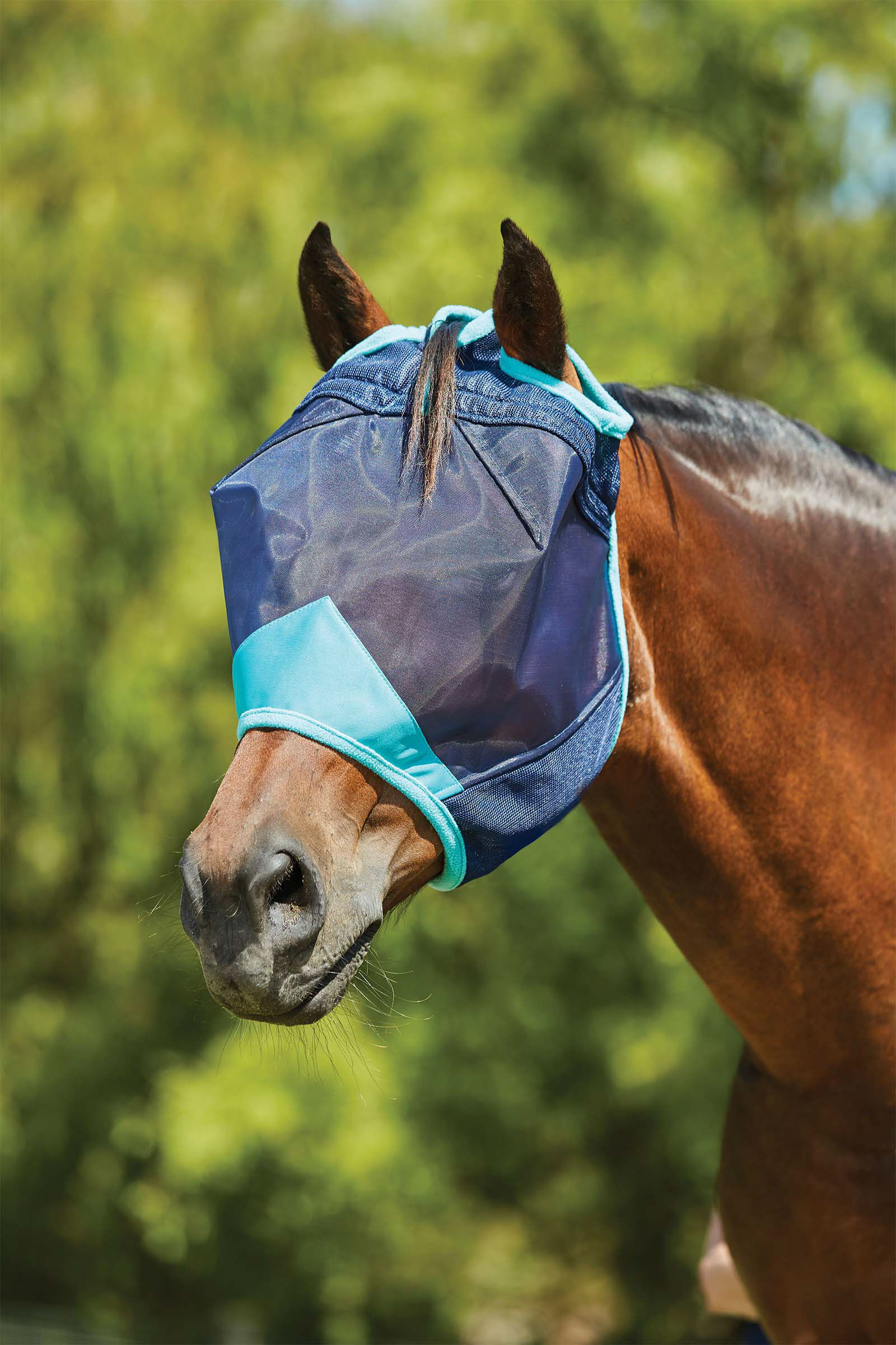 Weatherbeeta Comfitec Deluxe Fine Mesh Mask, Navy/ Turquoise, P