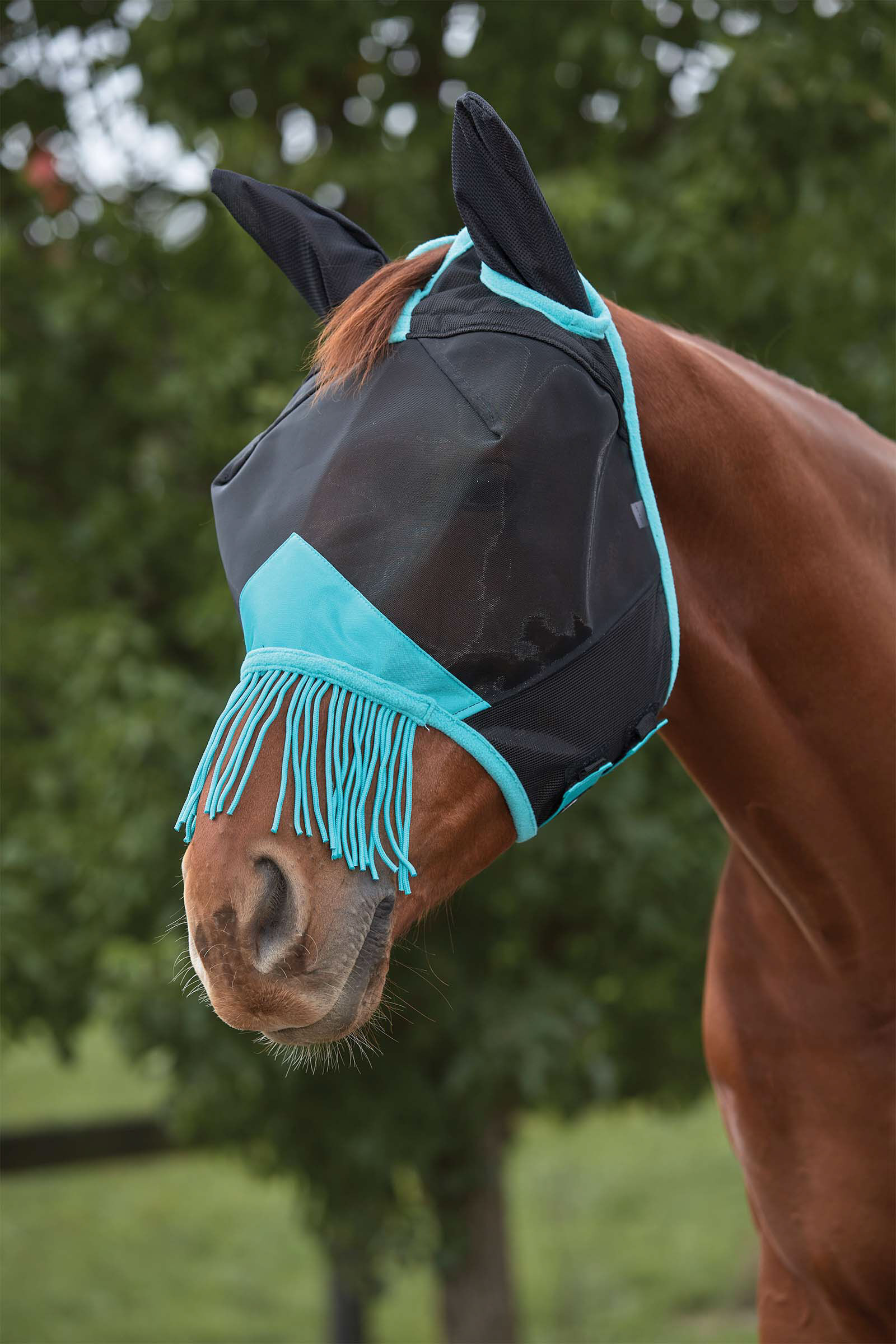 Weatherbeeta Comfitec Deluxe Fine Mesh Mask with Ears & Tassels, BL/VECT, F
