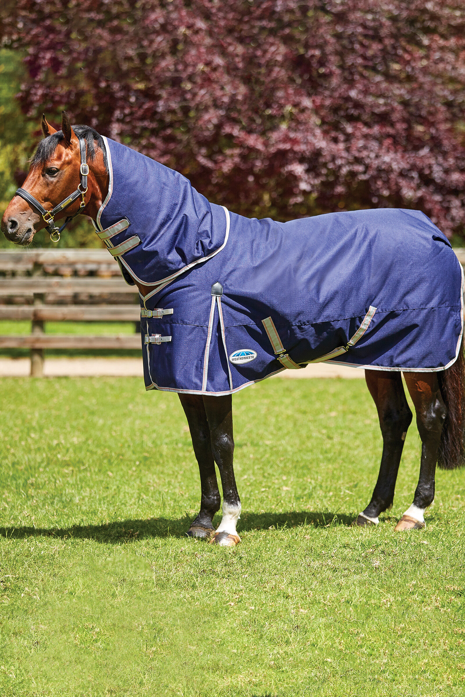 Weatherbeeta Comfitec Essential Detach-a-Neck Medium Turnout Rug, 220g, Navy/Silver/Red, 155