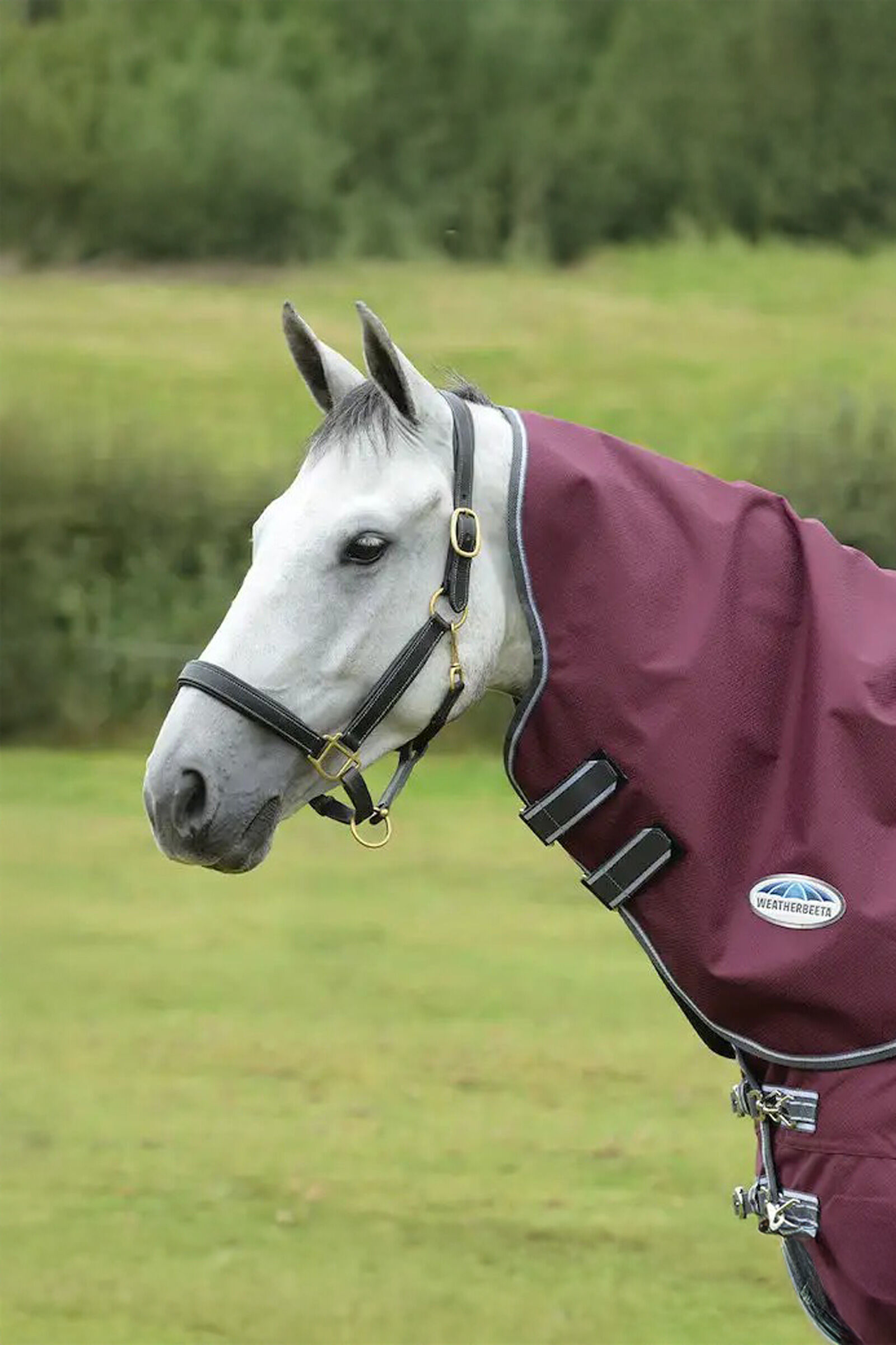 Weatherbeeta Comfitec Plus Dynamic II  Medium/Lite Neck Piece, 100g, Maroon Dark Red/ Grey White, S