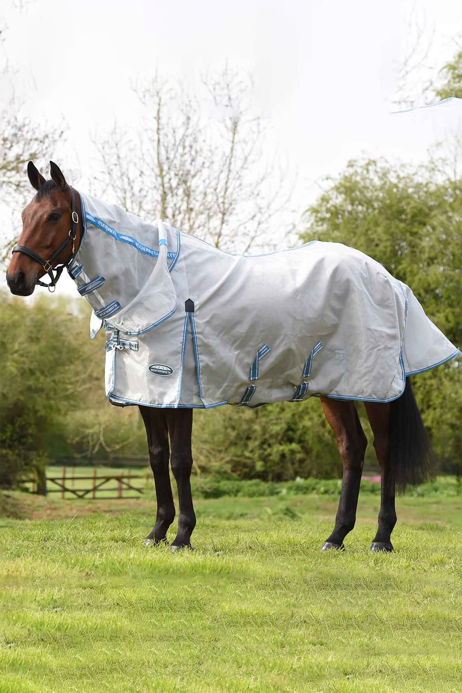 Weatherbeeta Comfitec Hexi Shield Combo Vliegendeken