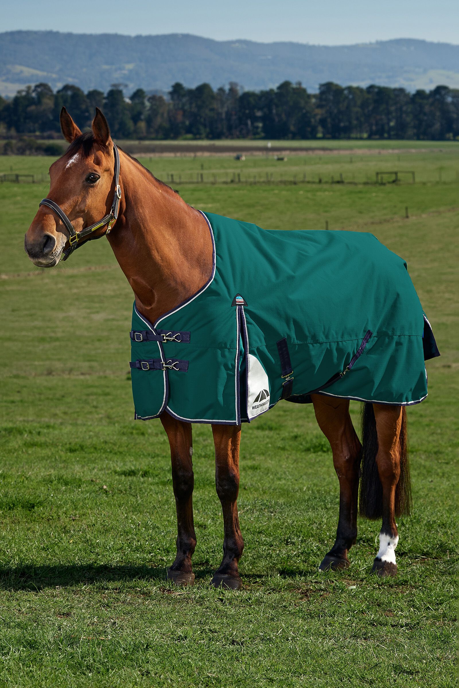 Weatherbeeta ComFiTecPlus Dynamic Turnout Detach-A-Neck 220G