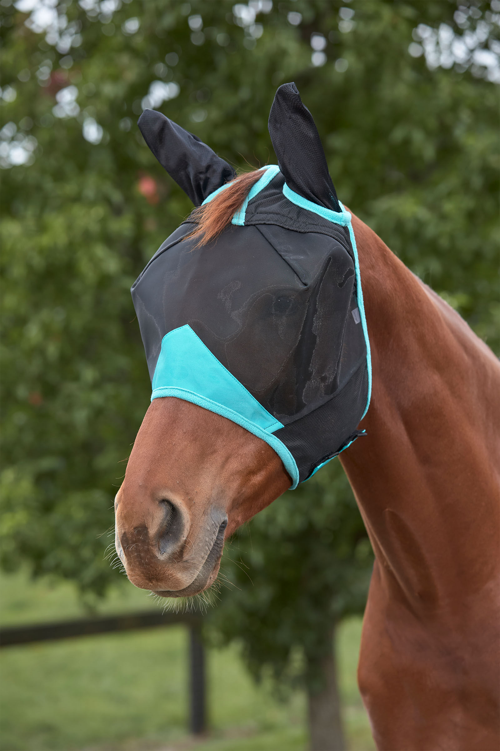 Weatherbeeta Comfitec Deluxe Fine Mesh Mask with Ears, BL/VECT, SH