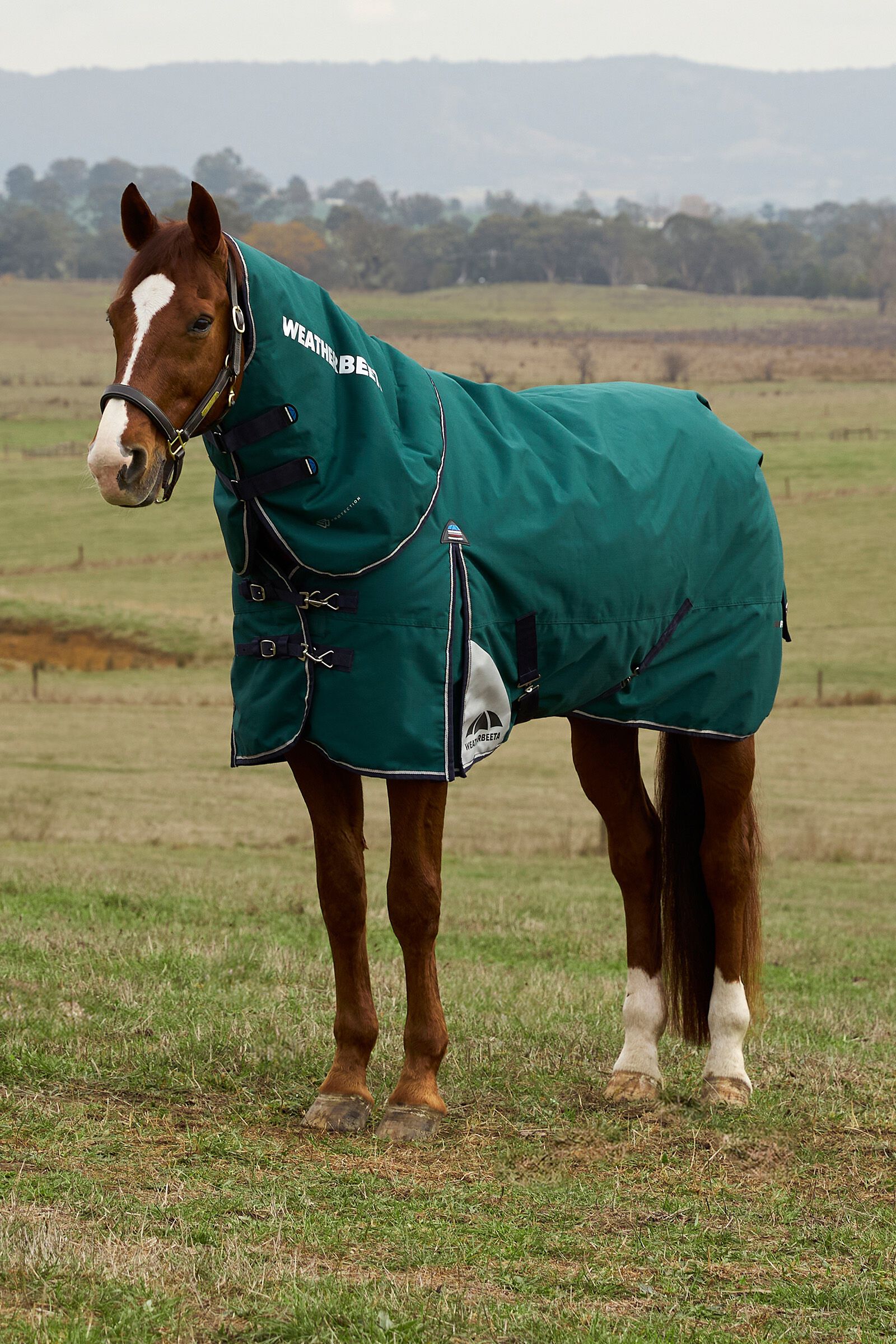 Weatherbeeta ComFiTecPlus Dynamic Turnout Standard Neck 0G