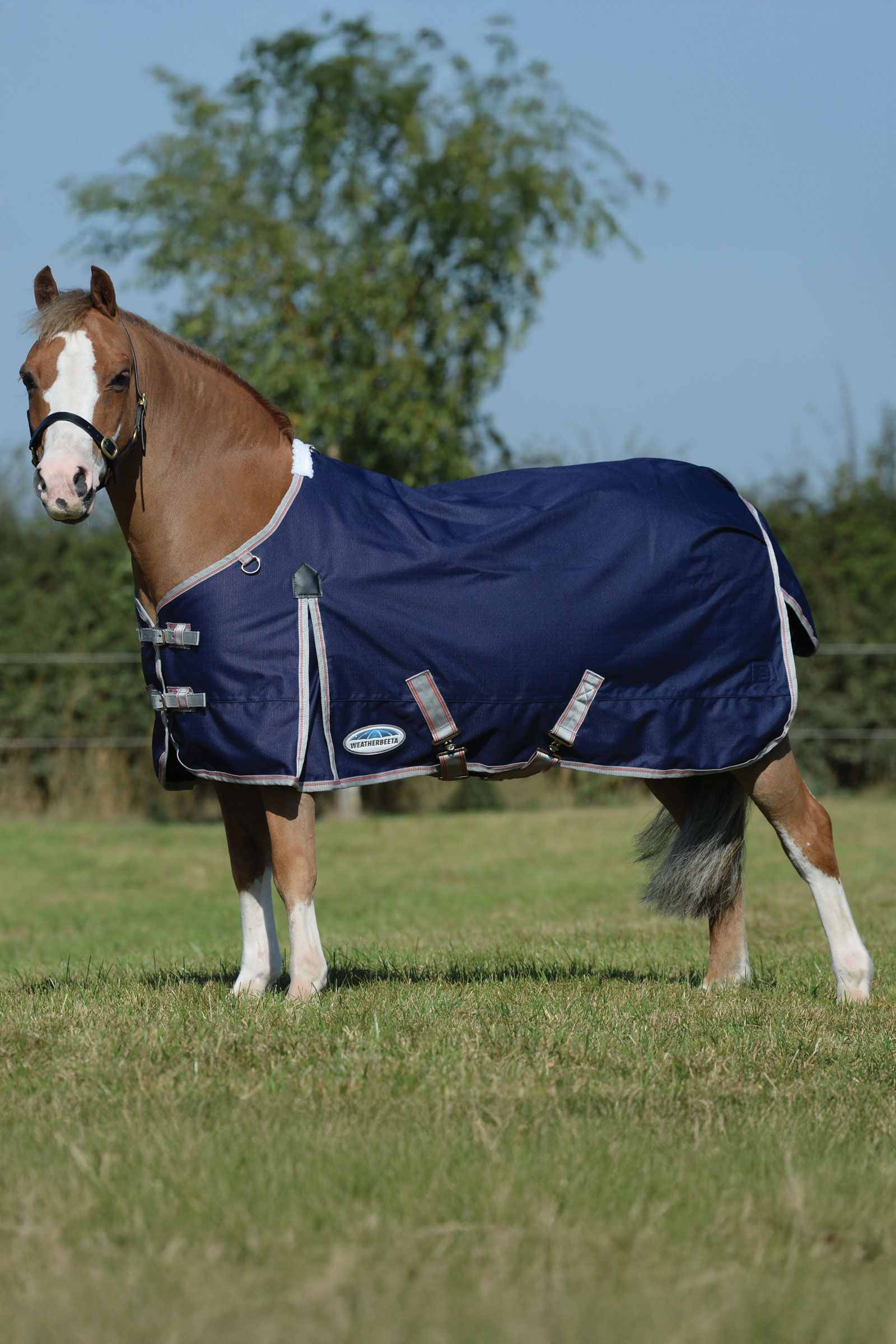 Weatherbeeta Comfitec Essential Plus couverture d'extérieur, 50g, Navy/Silver/Red, 140