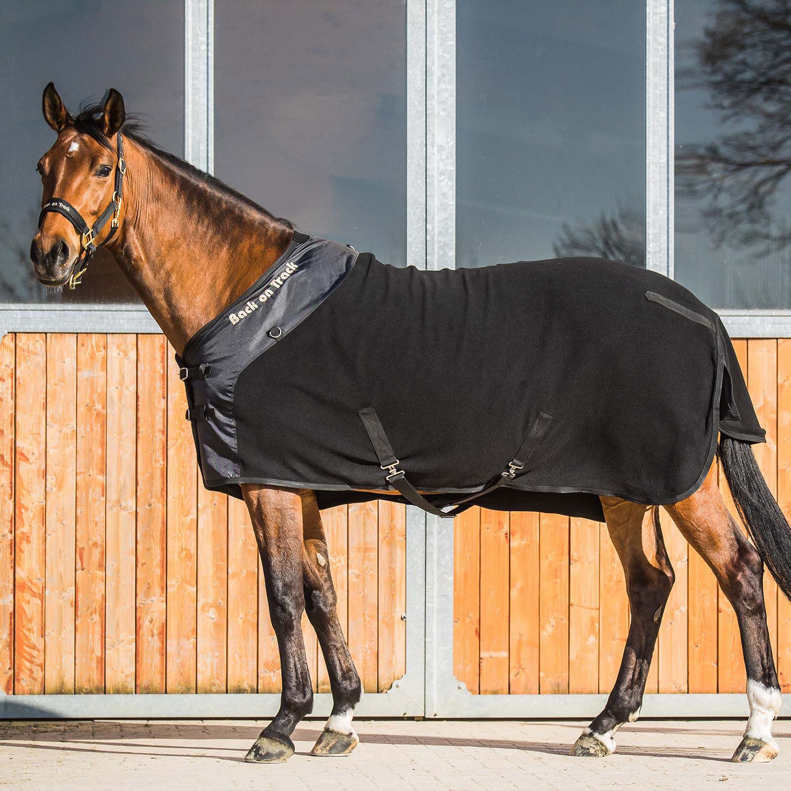 Back on hotsell track fleece rug