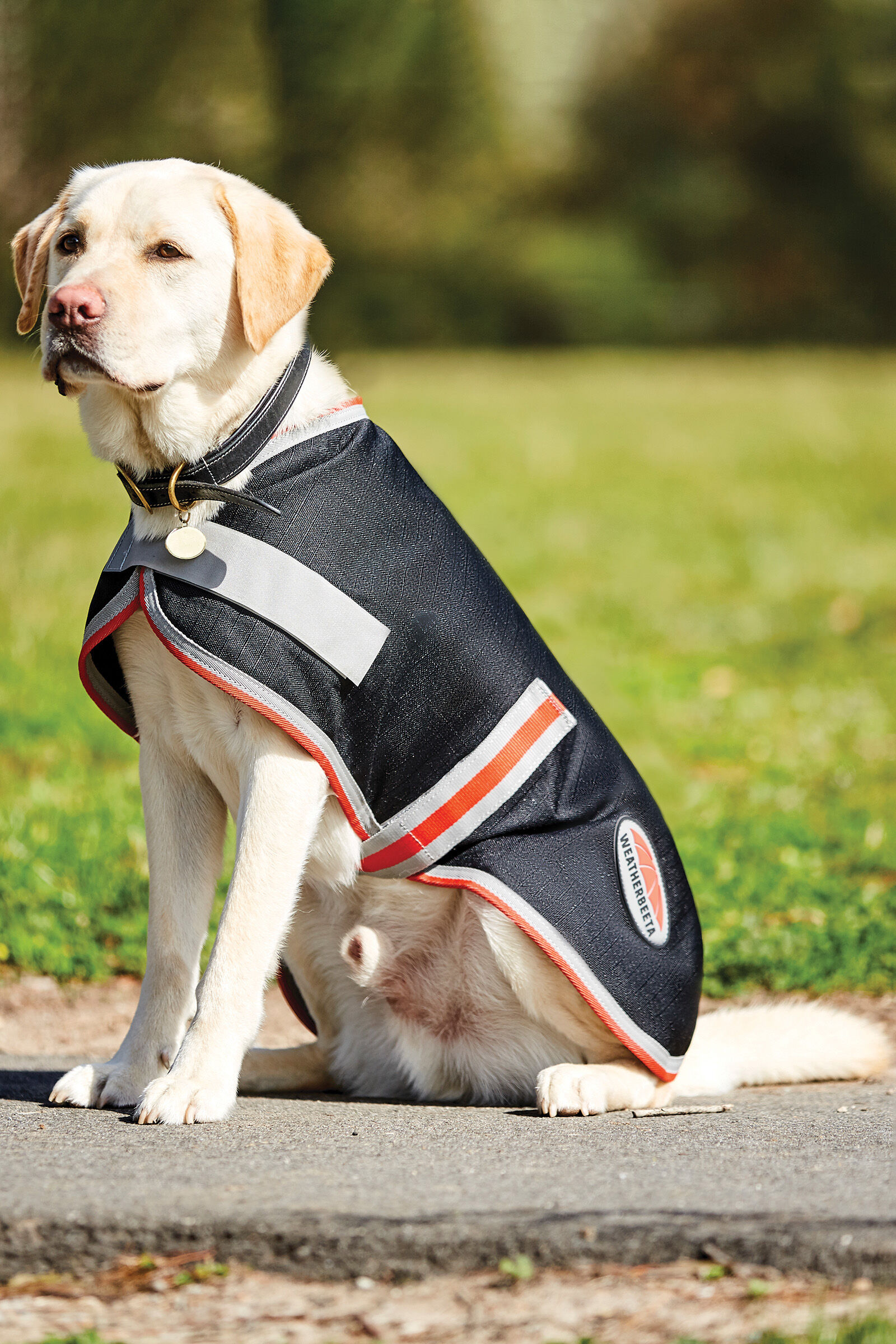 Buy Weatherbeeta Comfitec Therapy Tec 1200D Dog Coat 100g horze